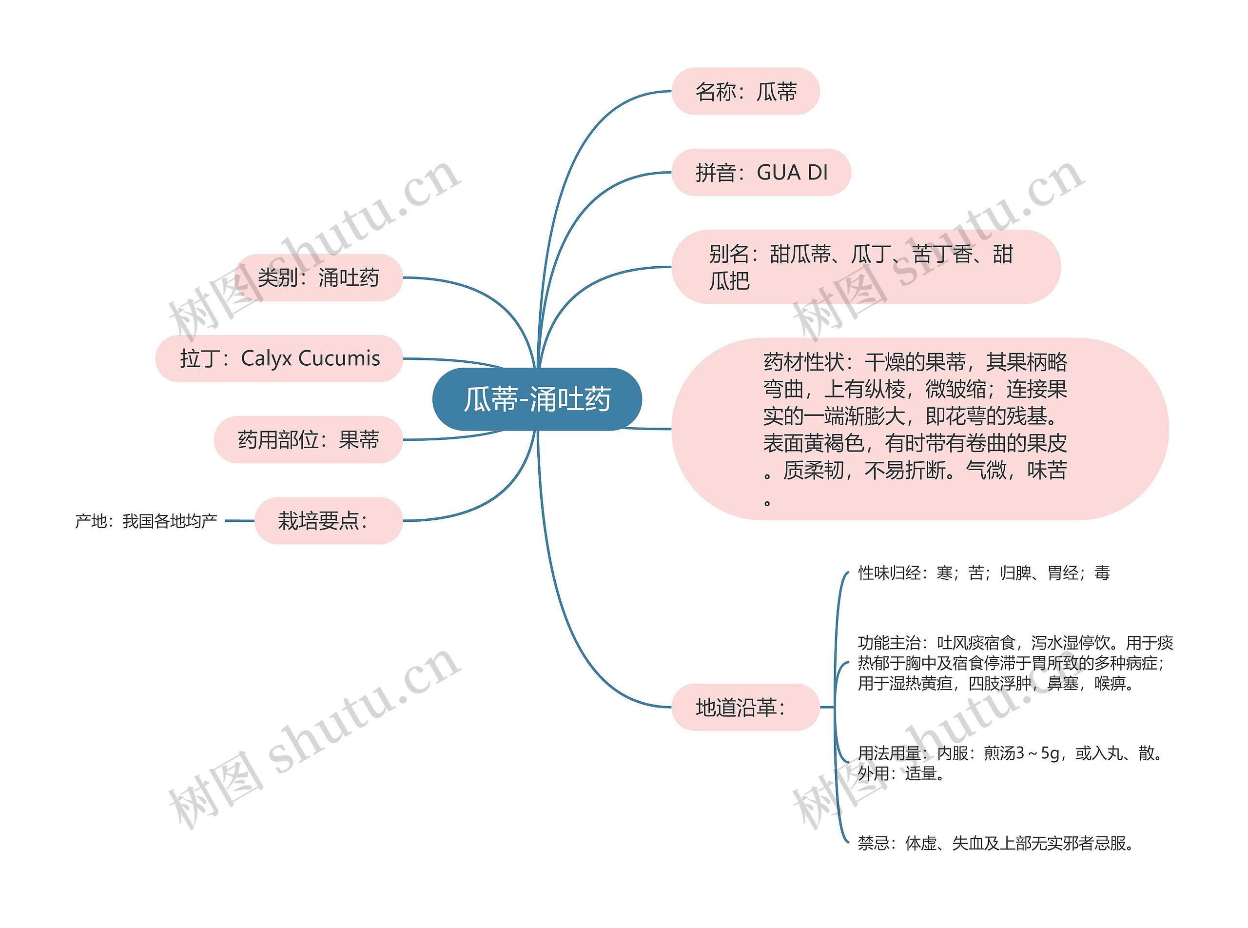瓜蒂-涌吐药思维导图