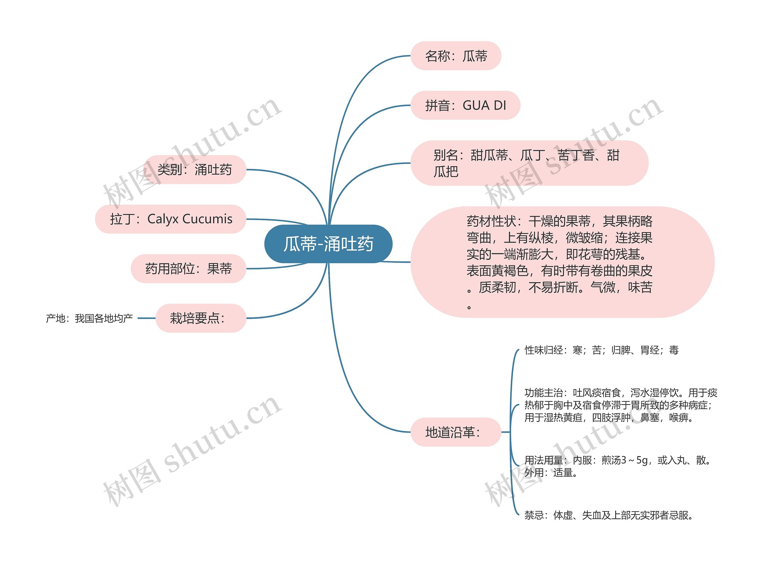 瓜蒂-涌吐药 瓜蒂-涌吐药