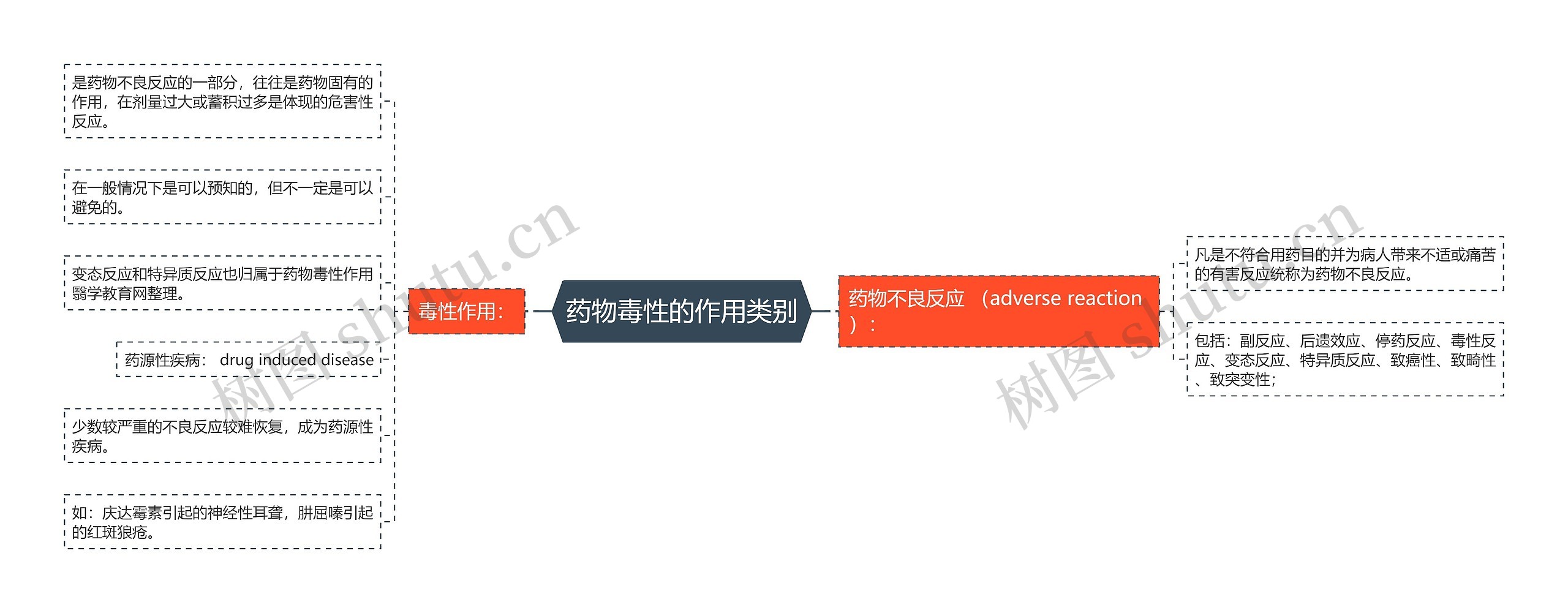 药物毒性的作用类别思维导图