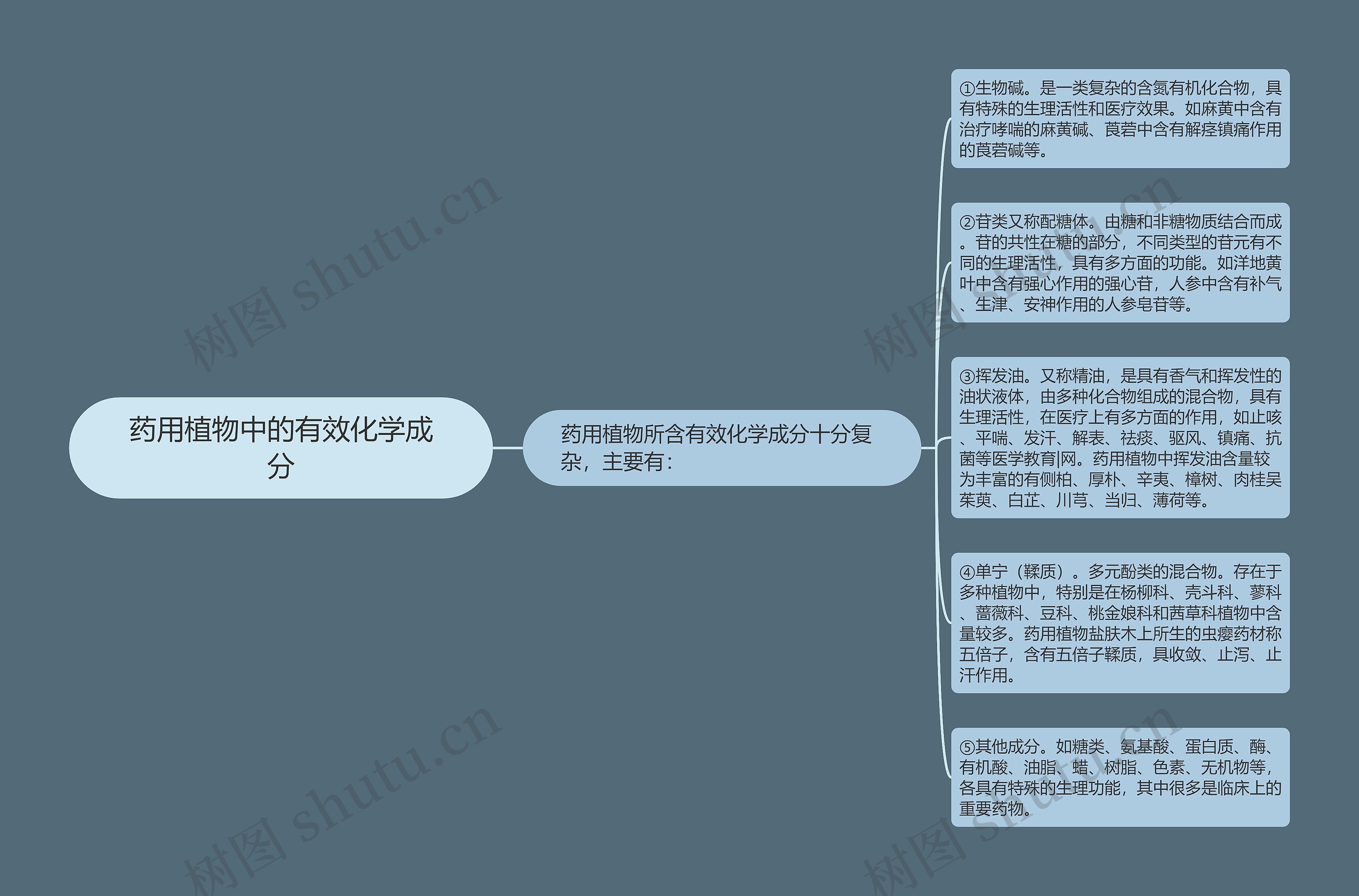 药用植物中的有效化学成分思维导图