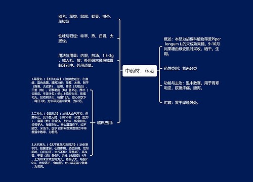 中药材：荜茇思维导图