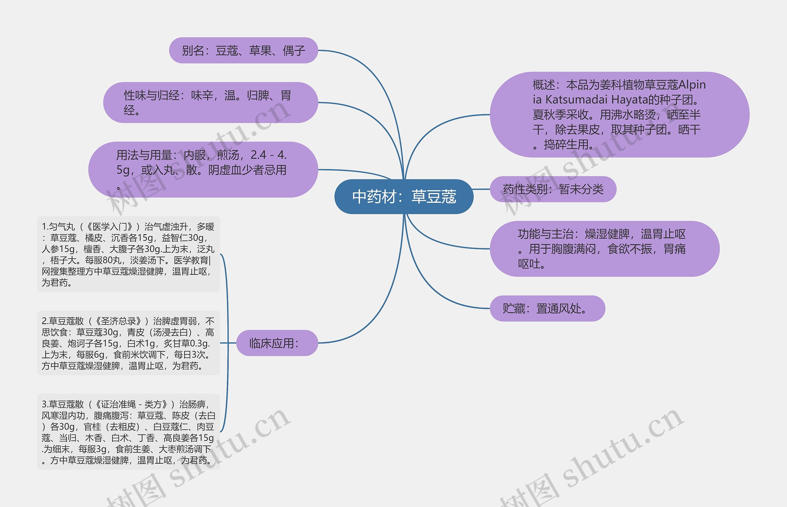 中药材：草豆蔻思维导图