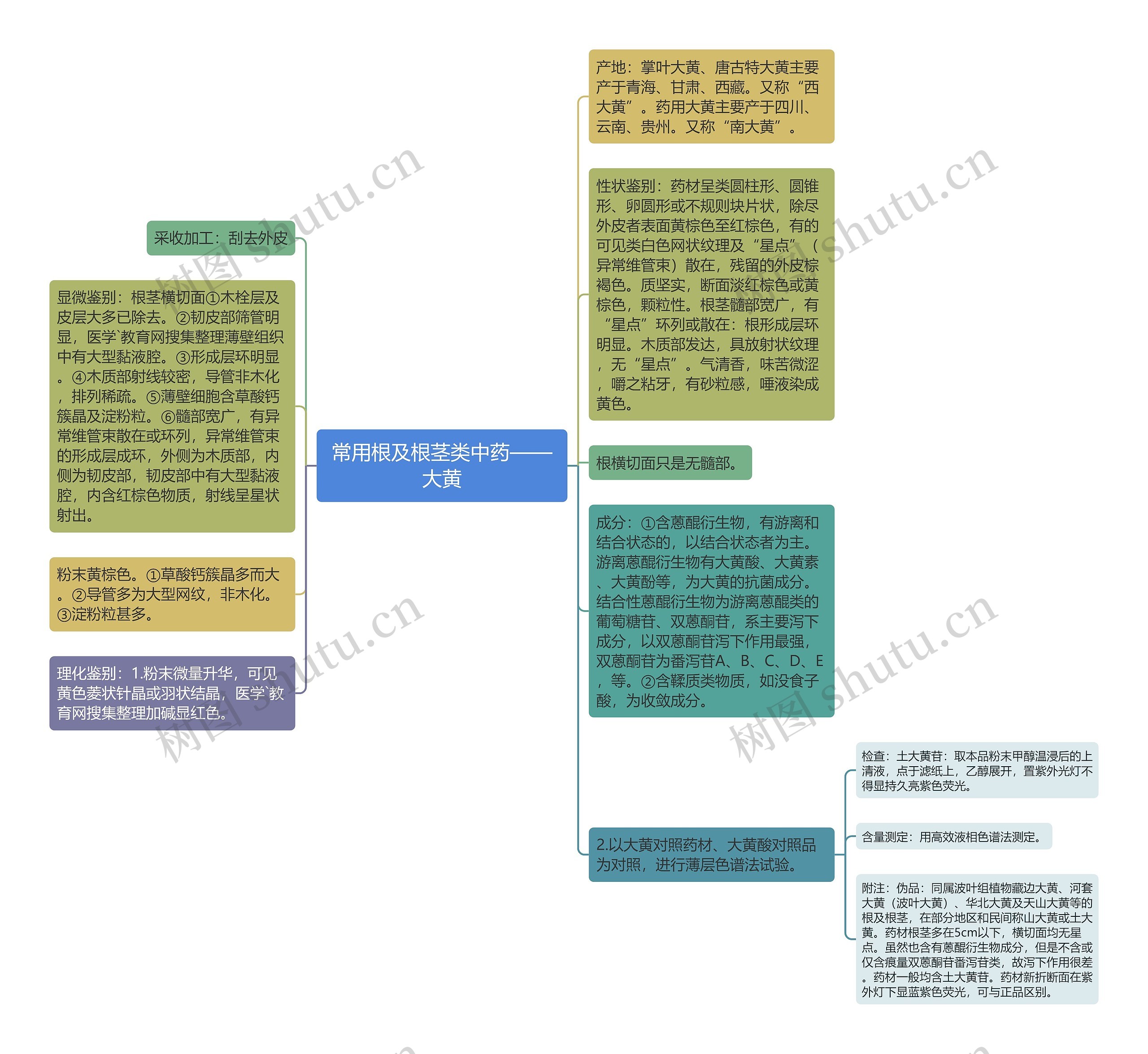 常用根及根茎类中药——大黄思维导图