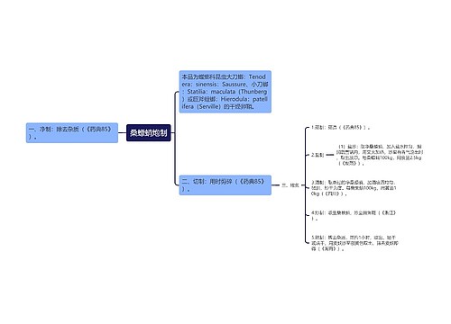 桑螵蛸炮制思维导图