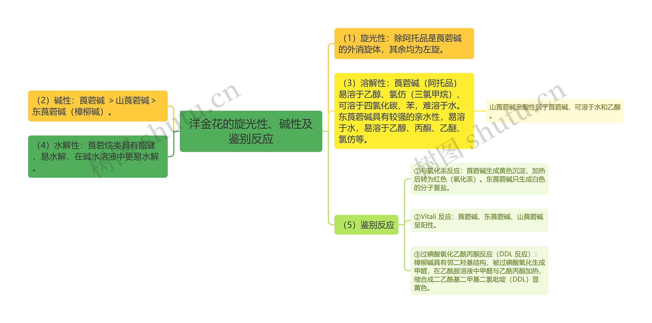 洋金花的旋光性、碱性及鉴别反应思维导图