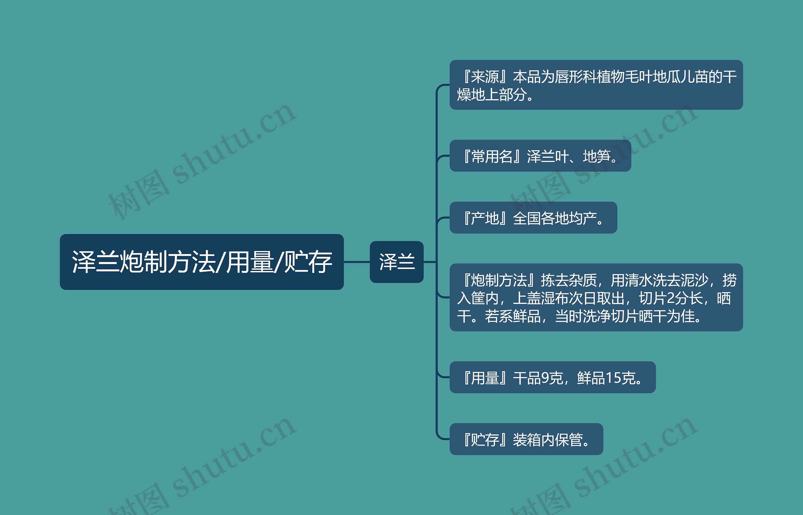 泽兰炮制方法/用量/贮存思维导图