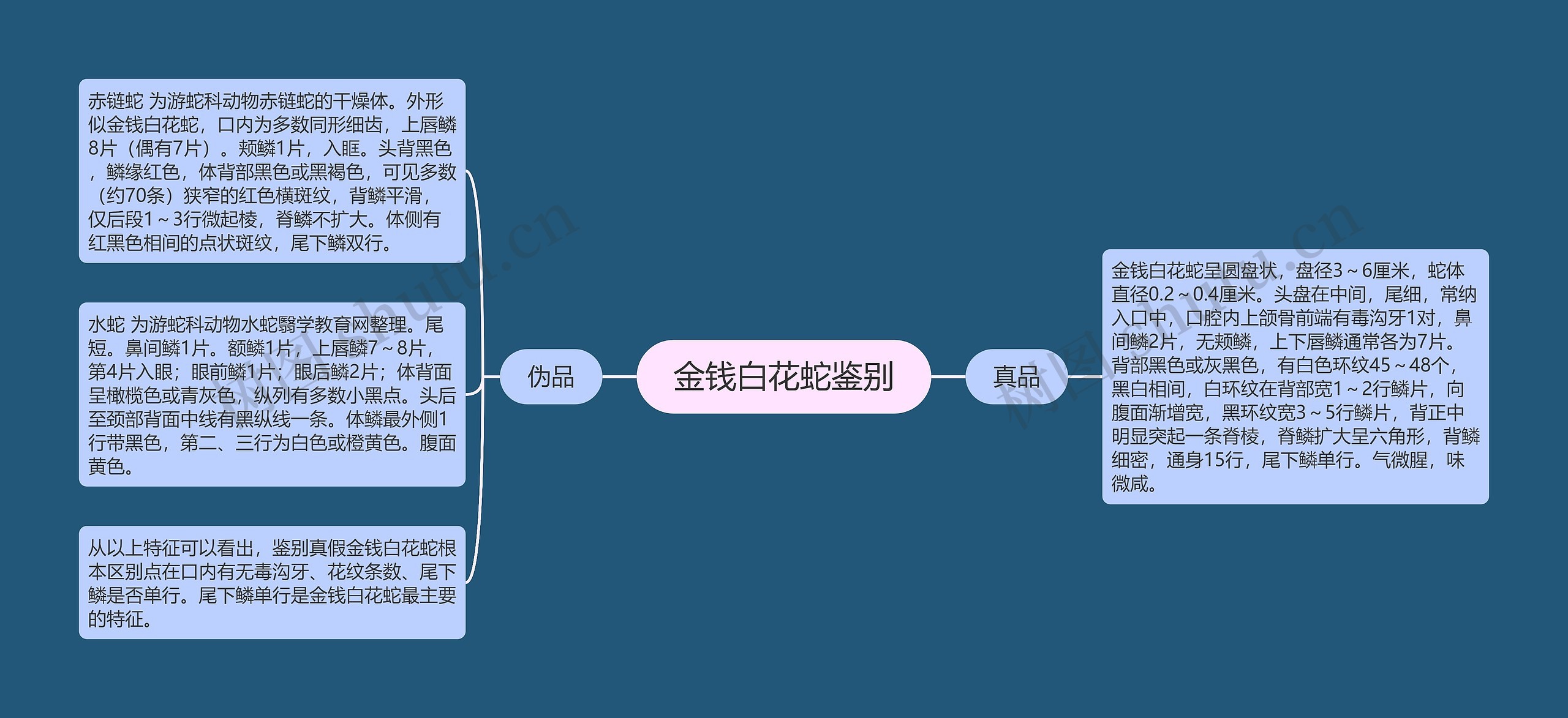 金钱白花蛇鉴别