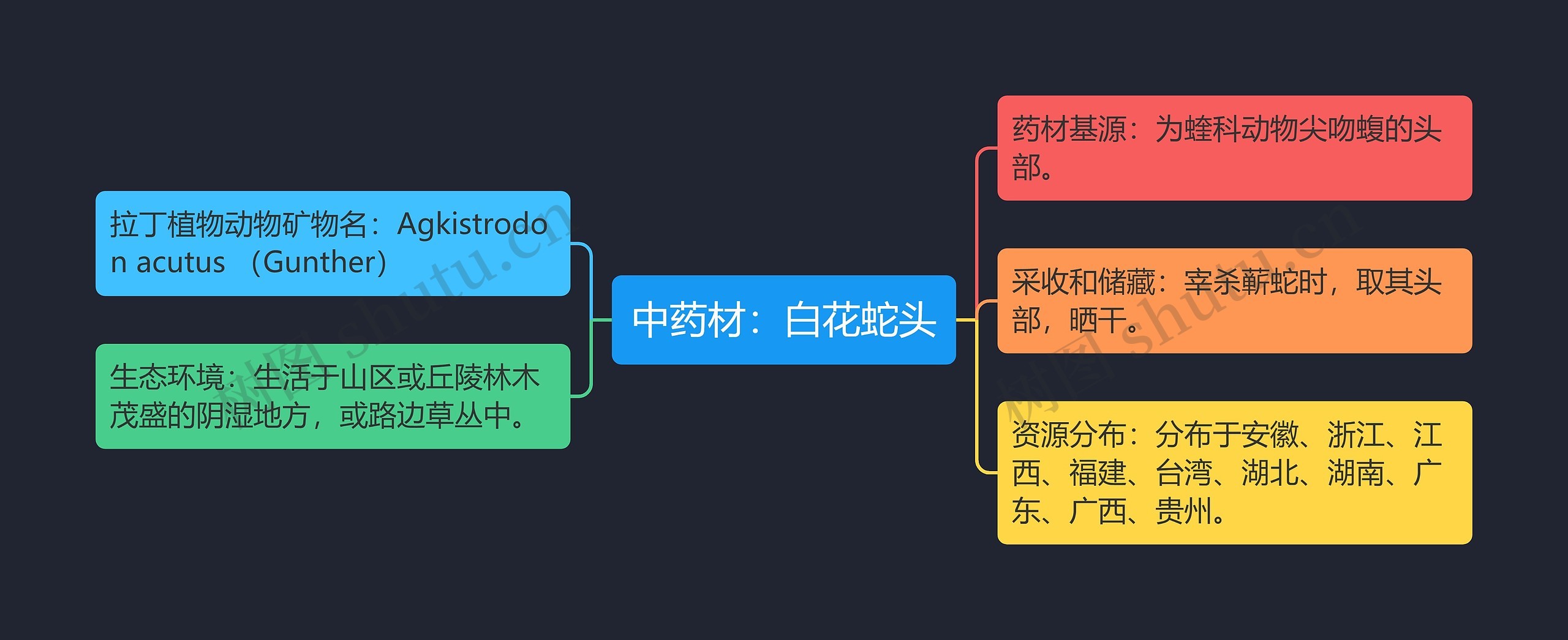 中药材：白花蛇头思维导图