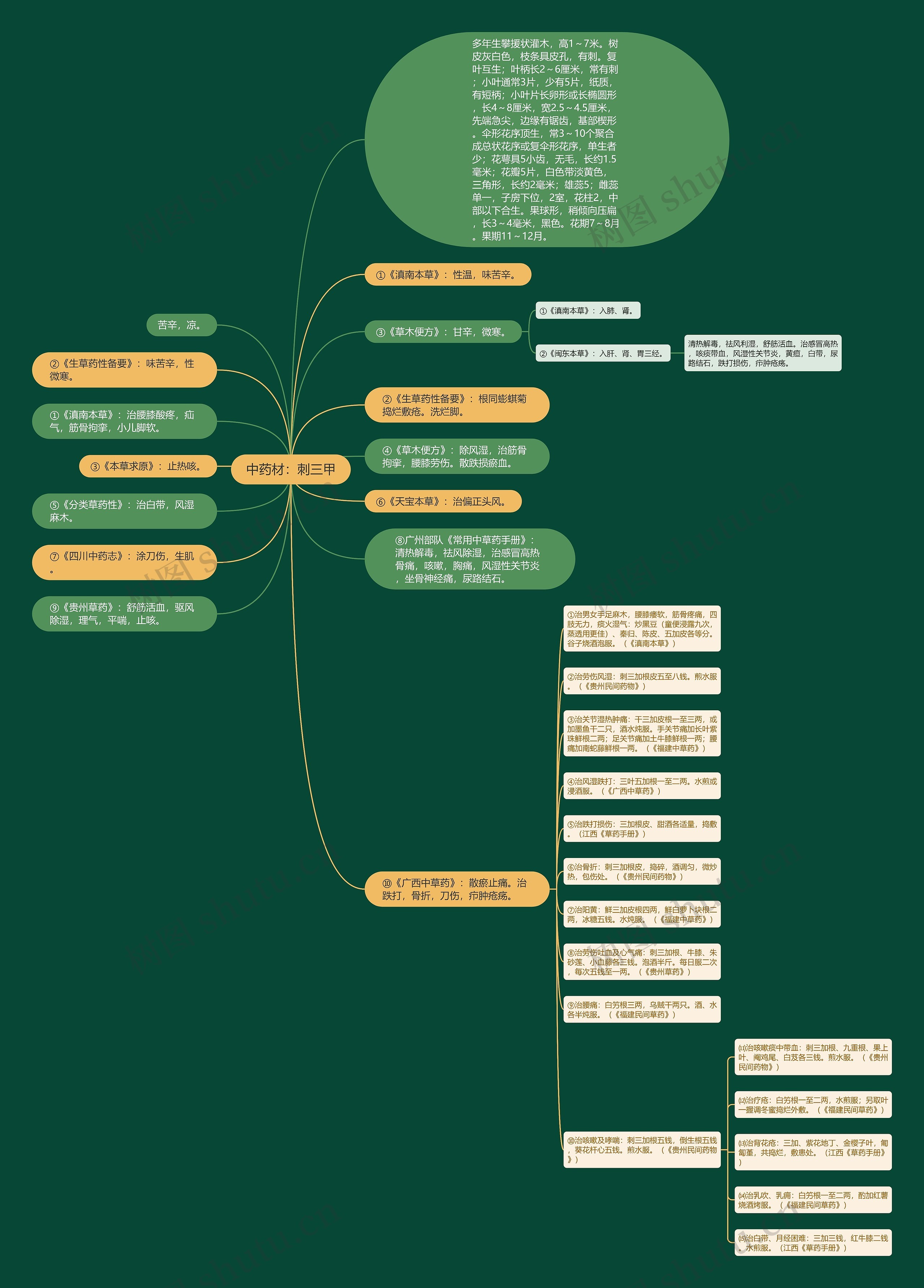 中药材：刺三甲思维导图