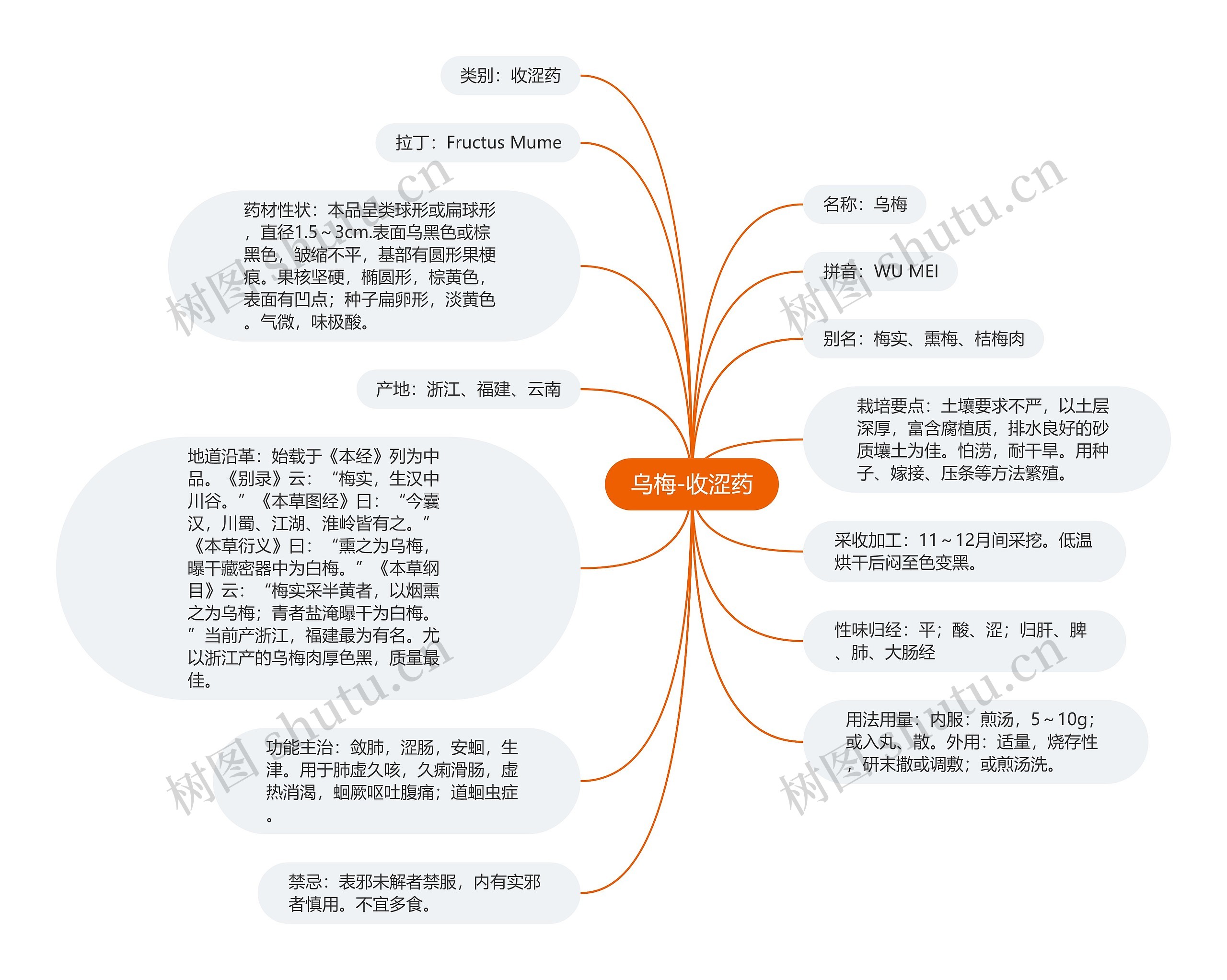 乌梅-收涩药思维导图