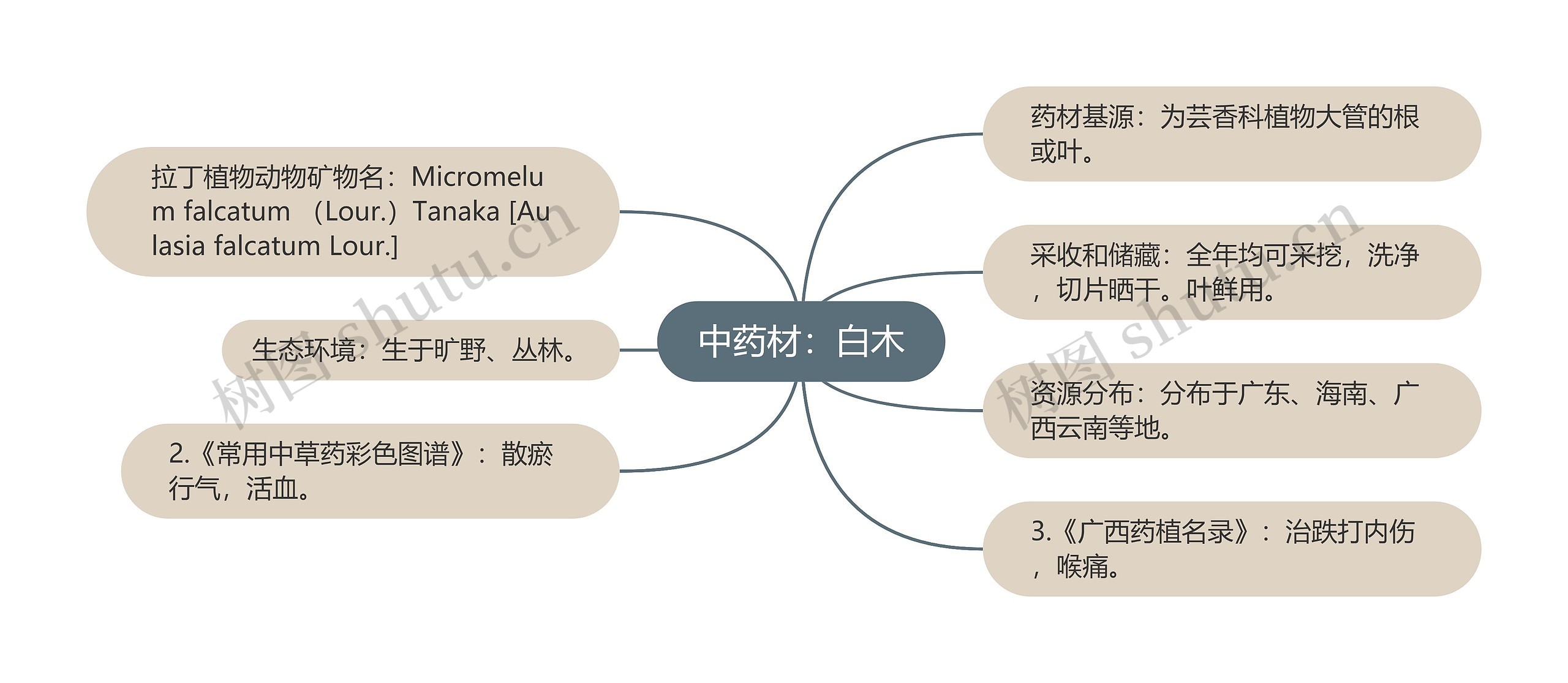 中药材：白木思维导图