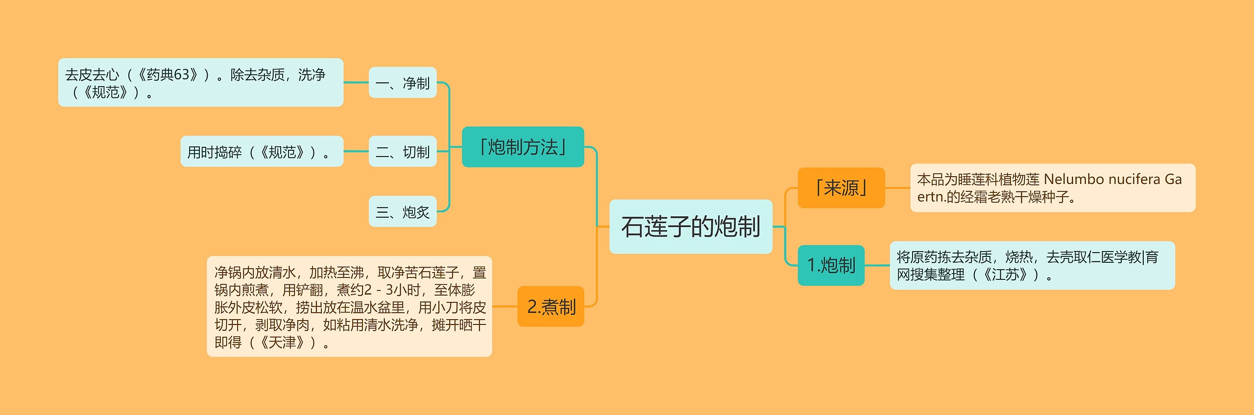 石莲子的炮制思维导图