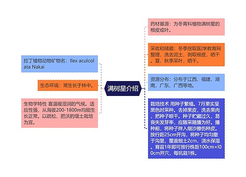 满树星介绍