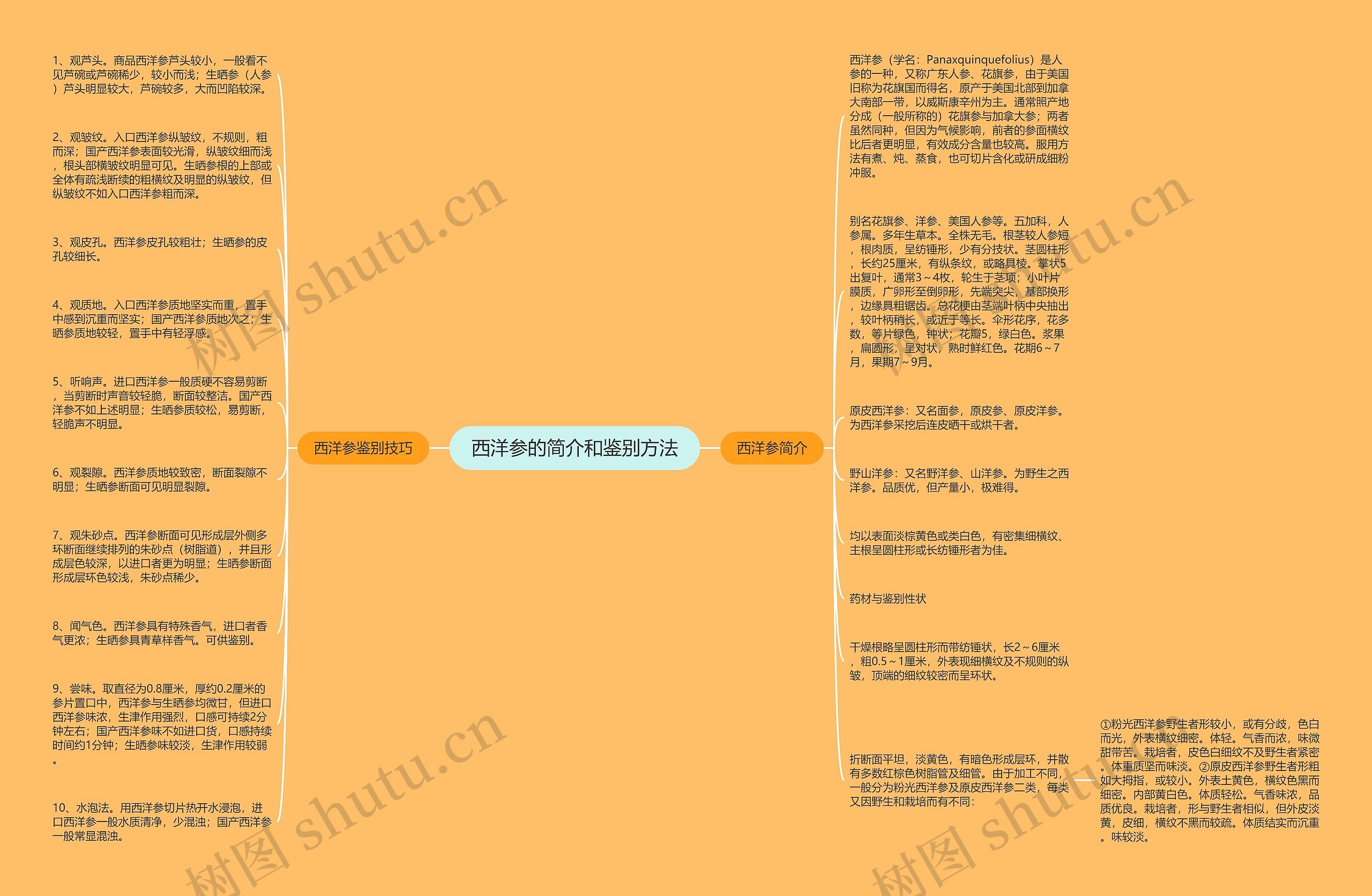 西洋参的简介和鉴别方法思维导图