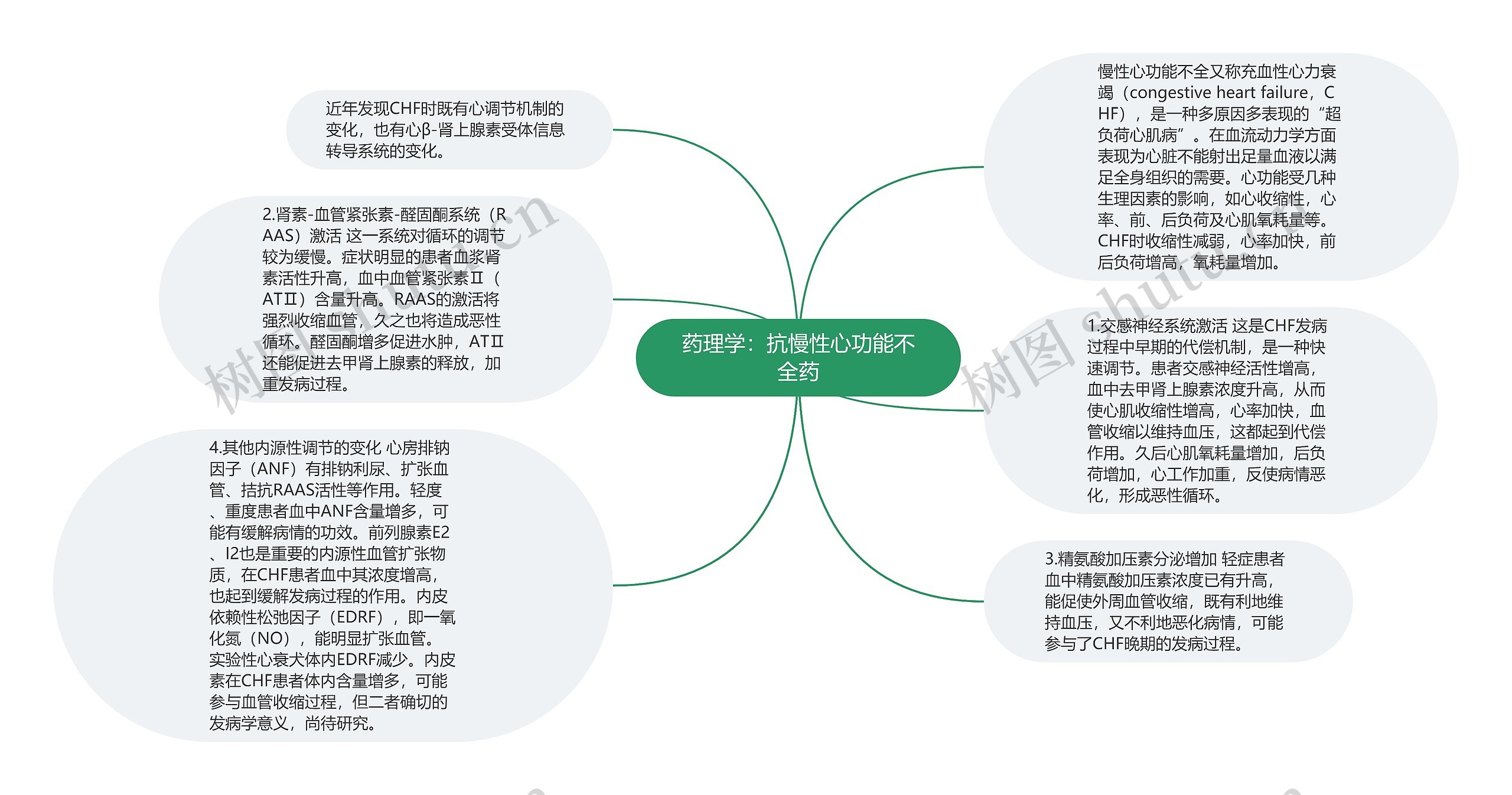 药理学：抗慢性心功能不全药思维导图