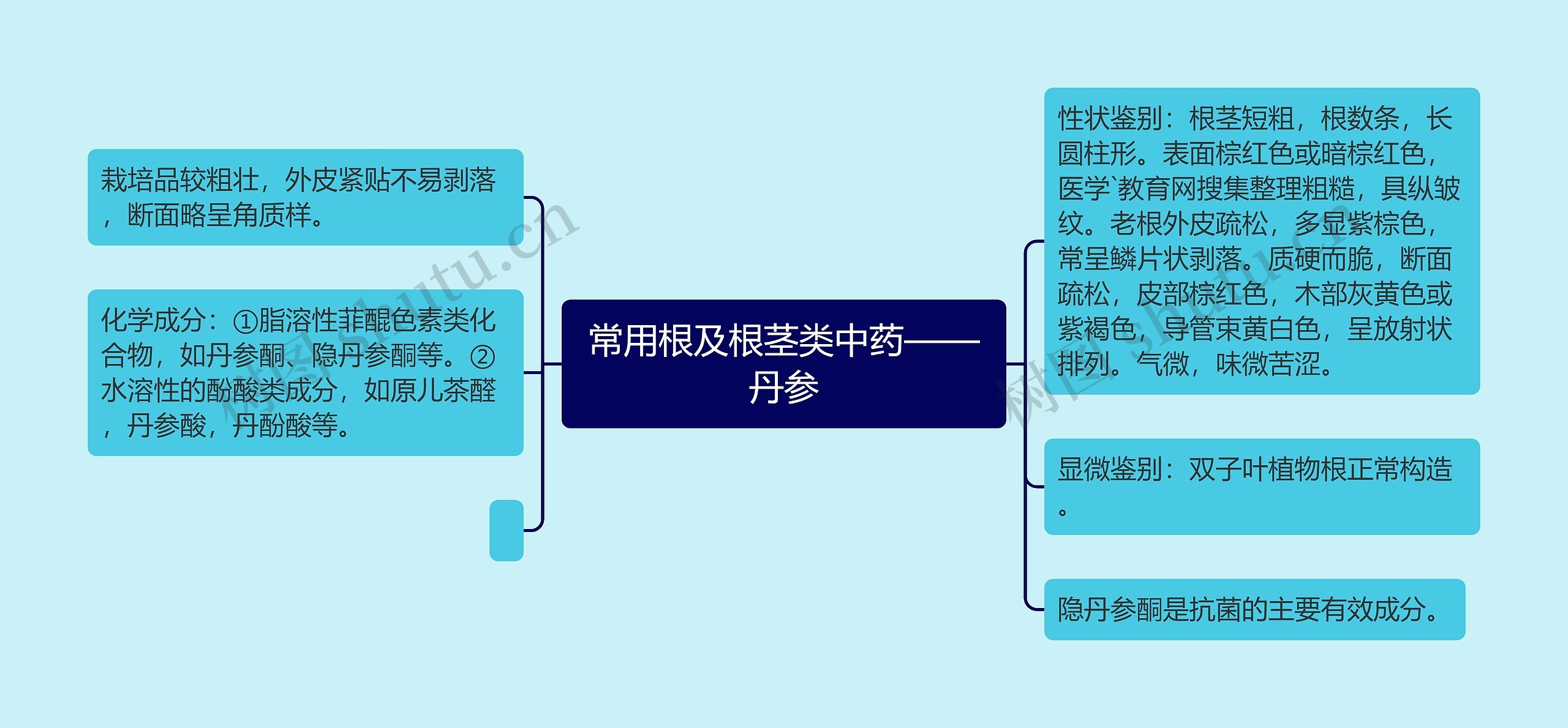 常用根及根茎类中药——丹参