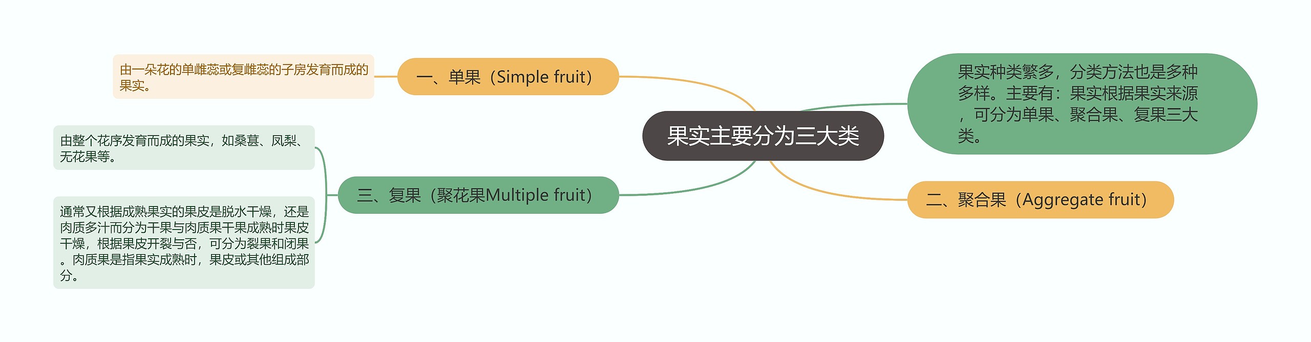 果实主要分为三大类思维导图