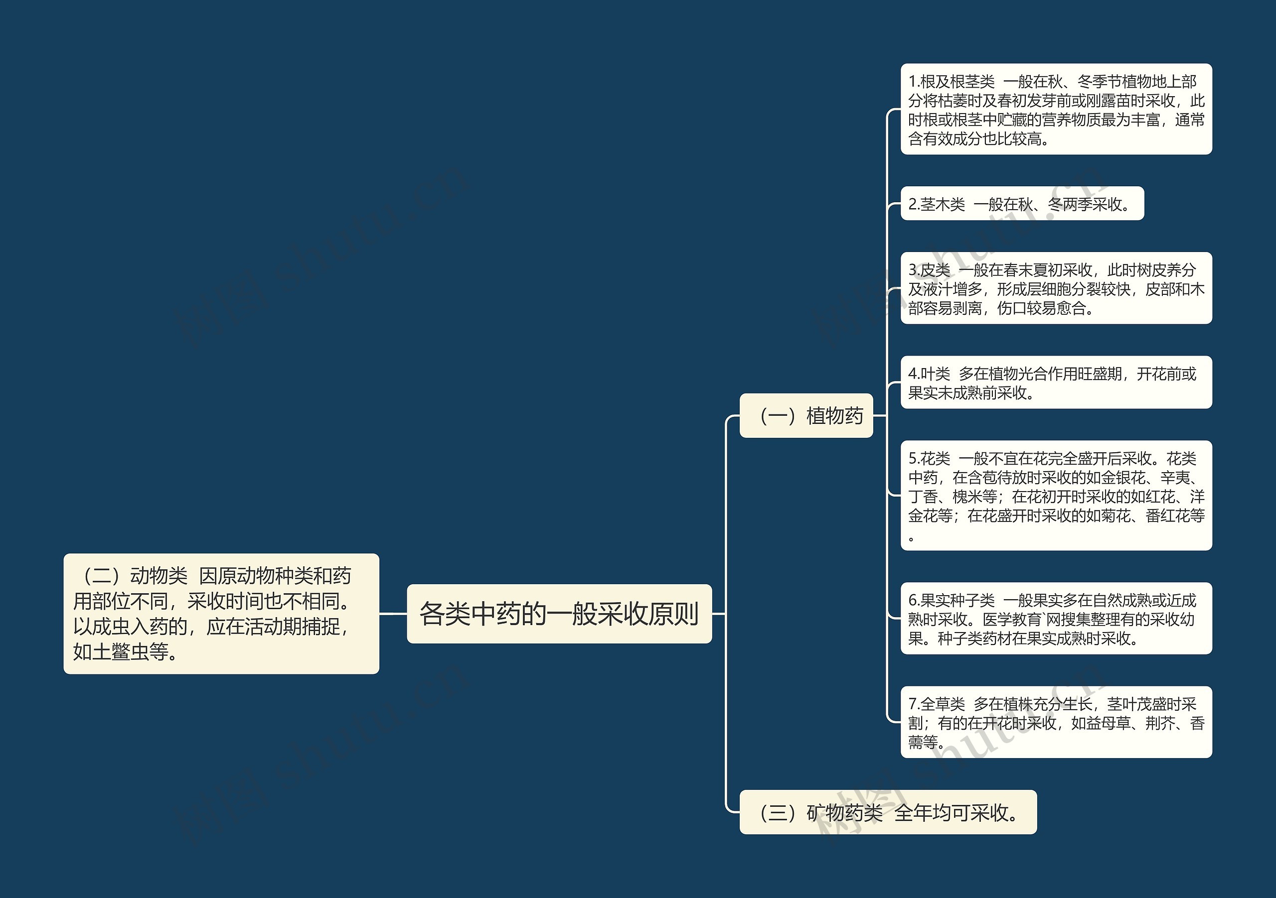 各类中药的一般采收原则思维导图