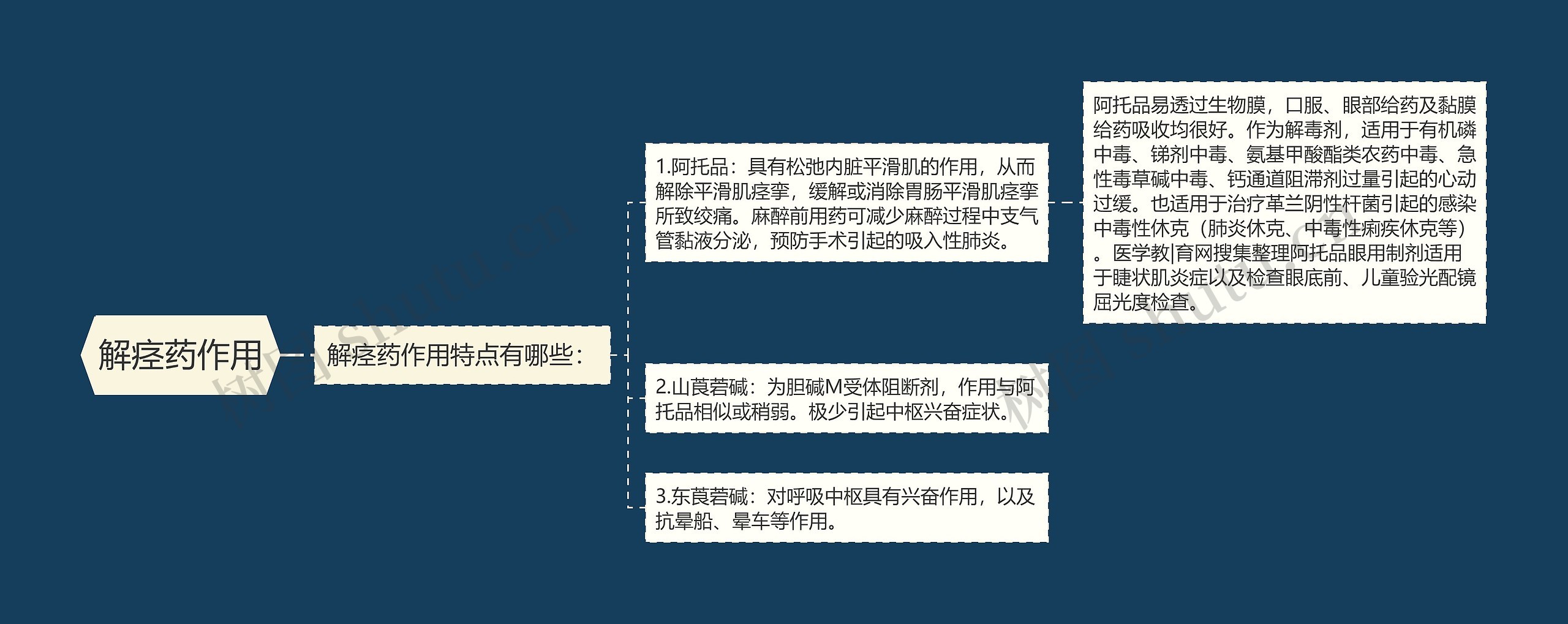 解痉药作用思维导图