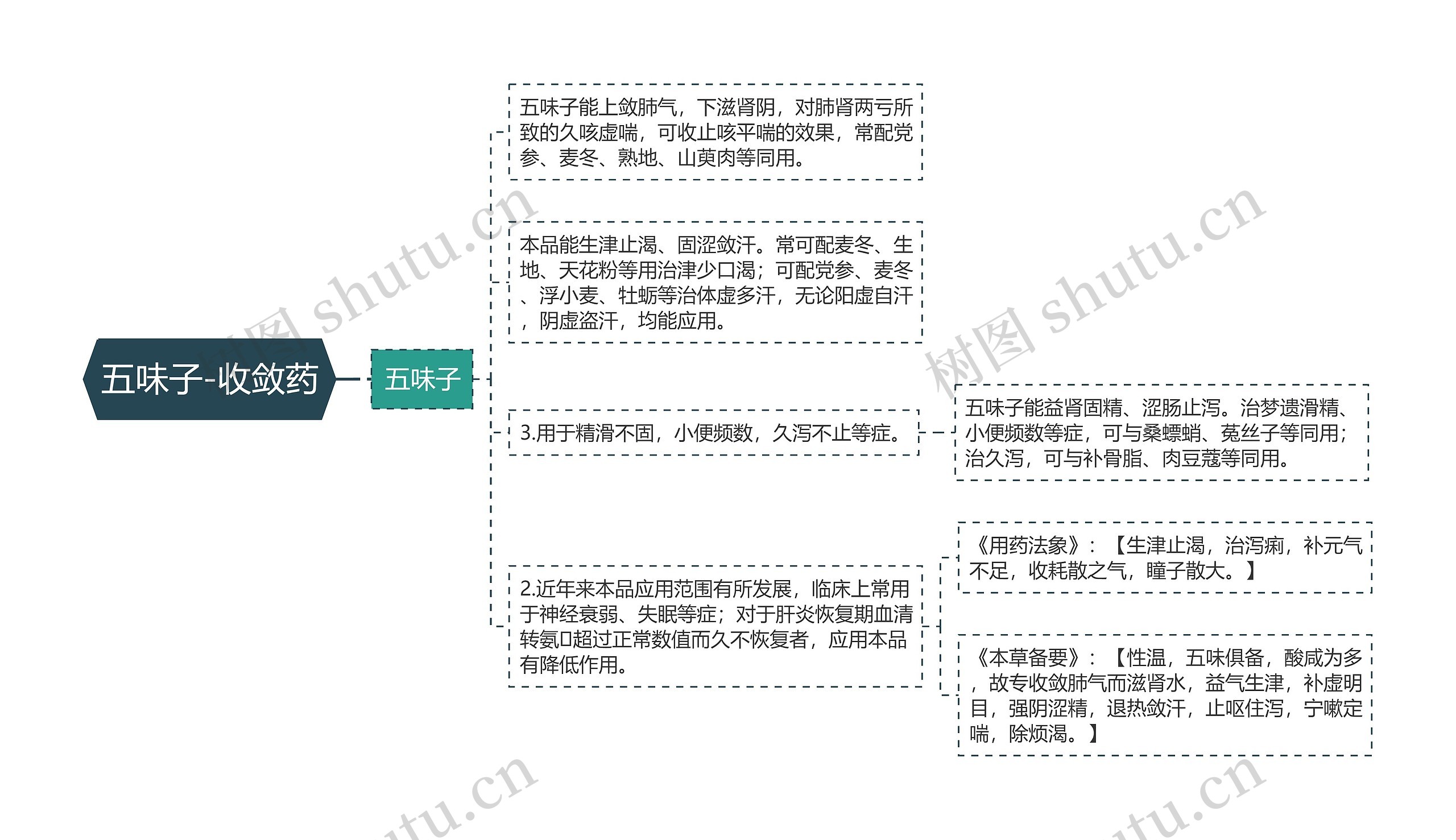 五味子-收敛药思维导图