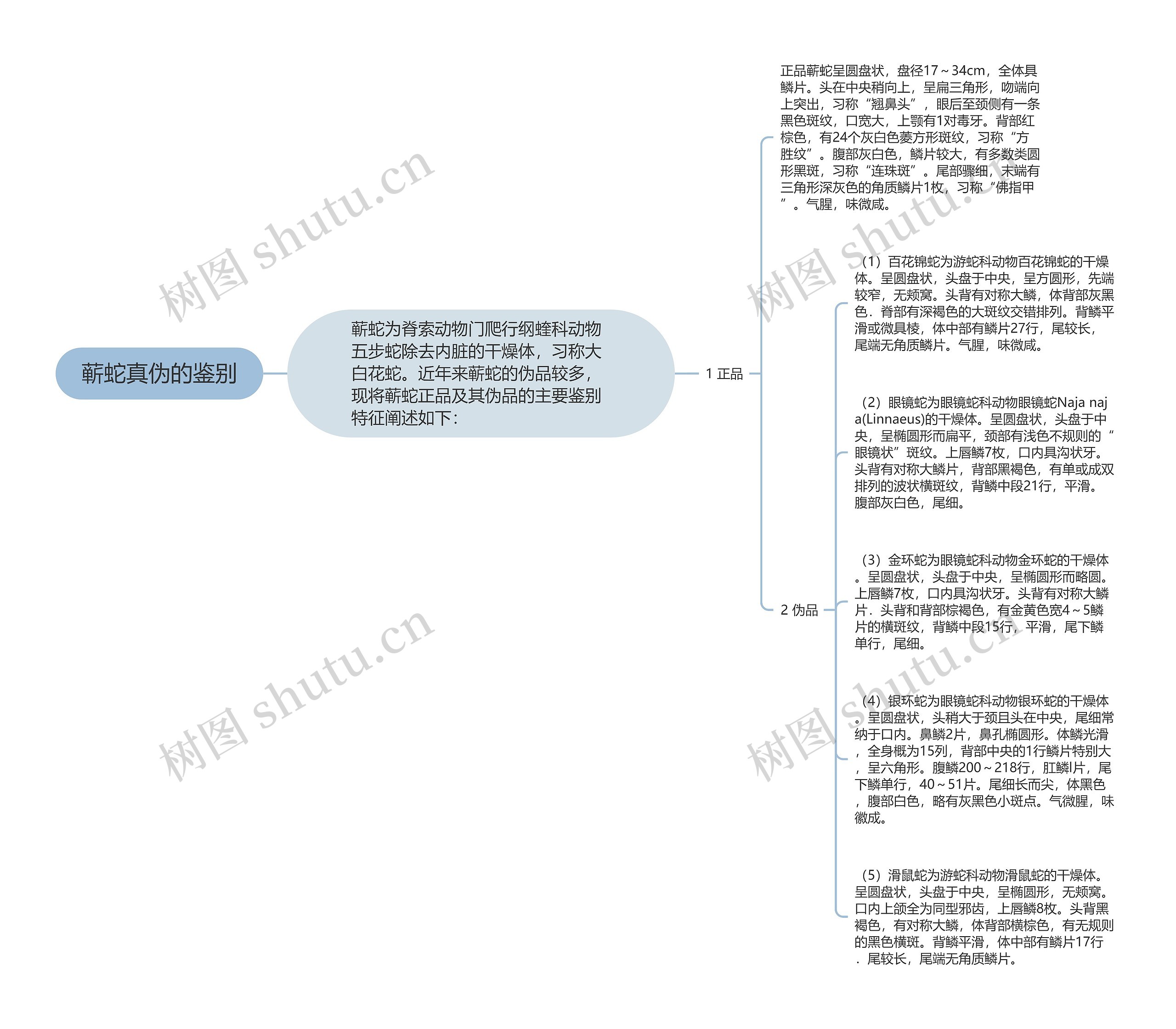 蕲蛇真伪的鉴别思维导图