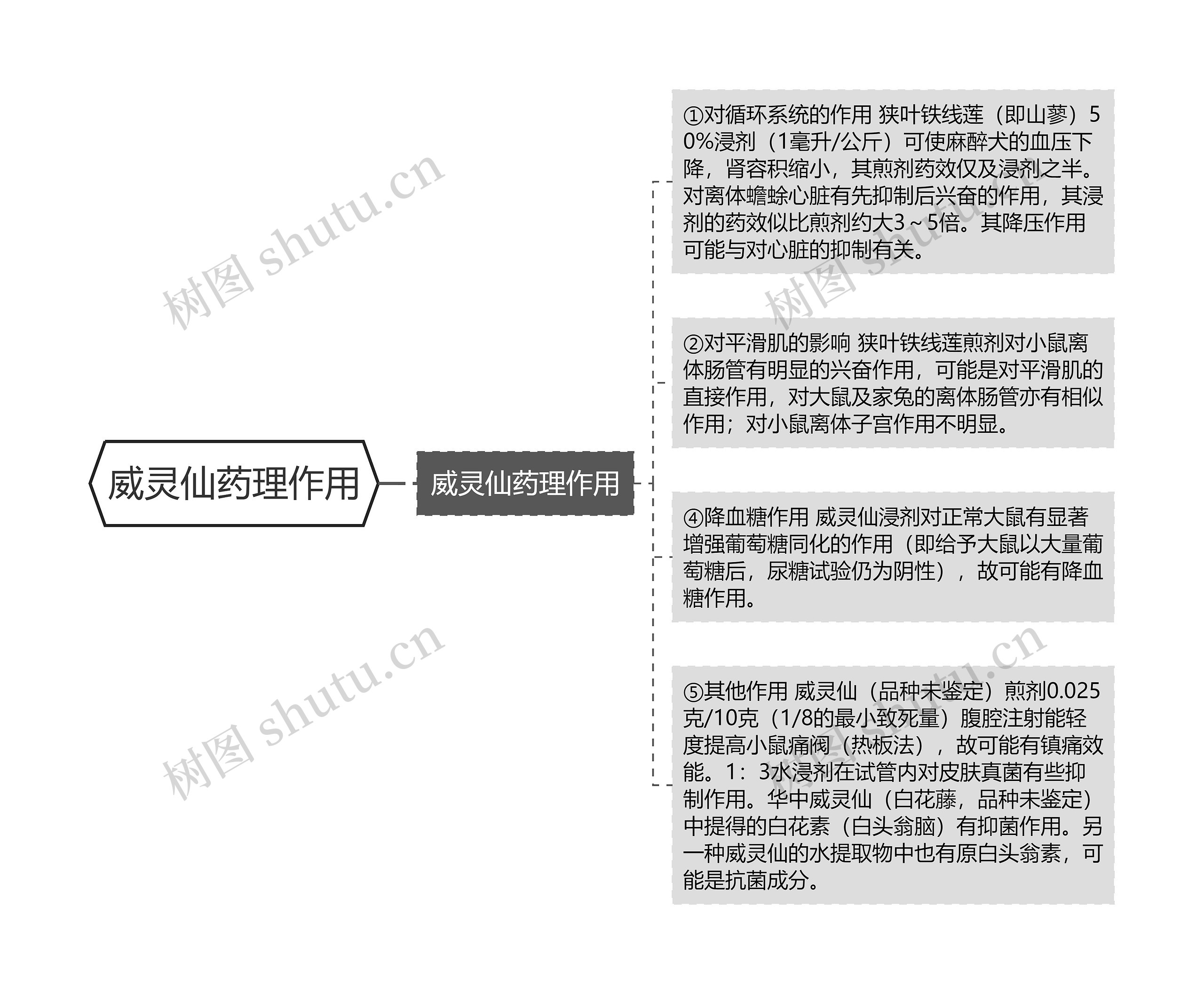 威灵仙药理作用思维导图