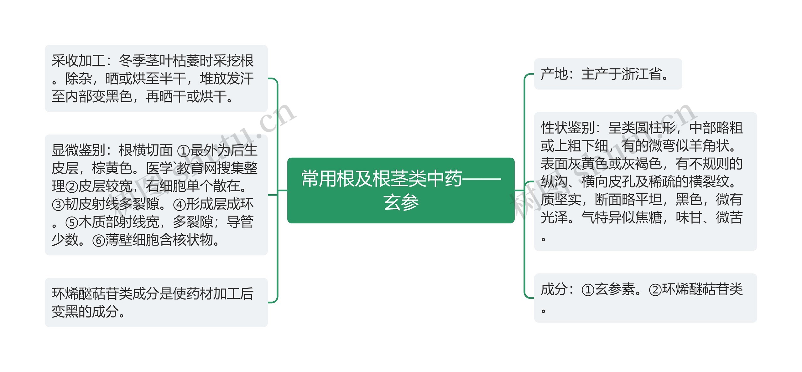 常用根及根茎类中药——玄参思维导图