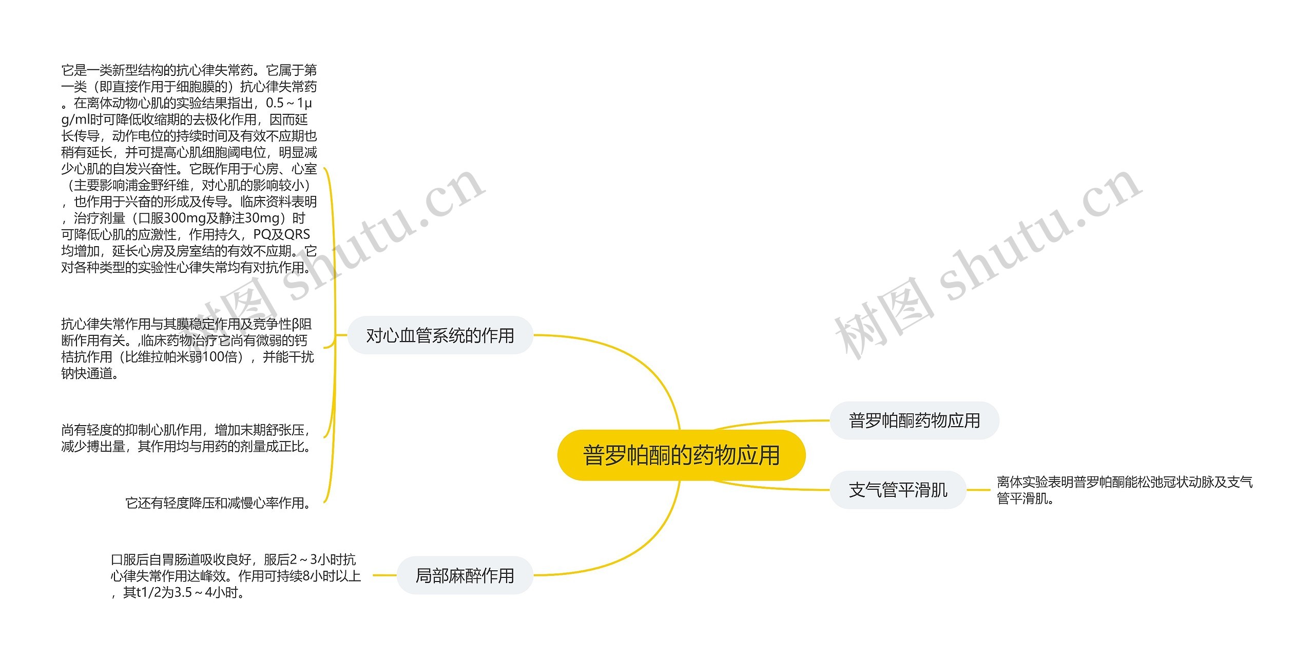 普罗帕酮的药物应用思维导图