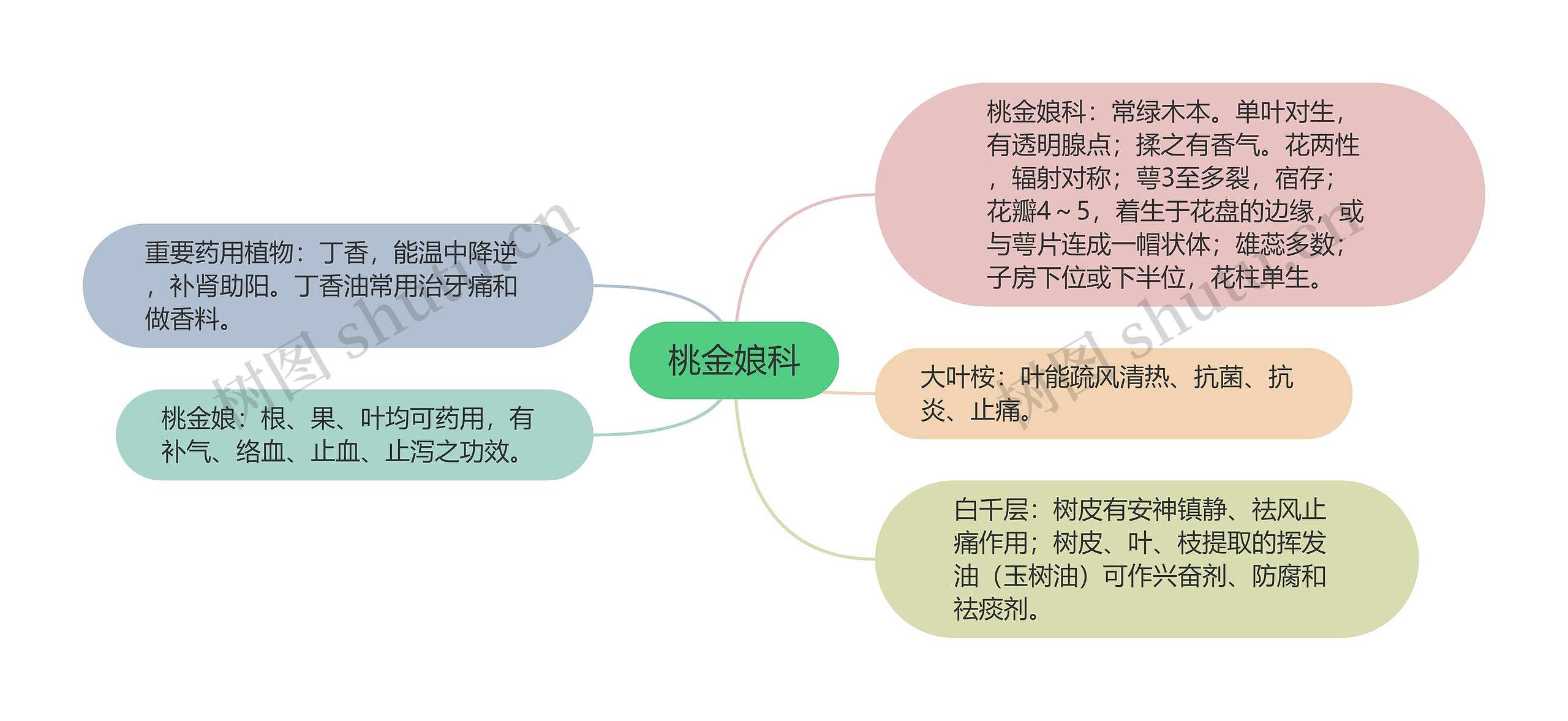 桃金娘科思维导图