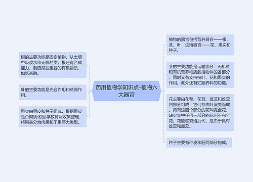 药用植物学知识点-植物六大器官