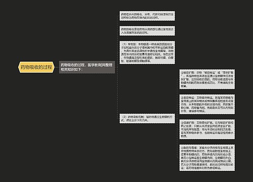 药物吸收的过程