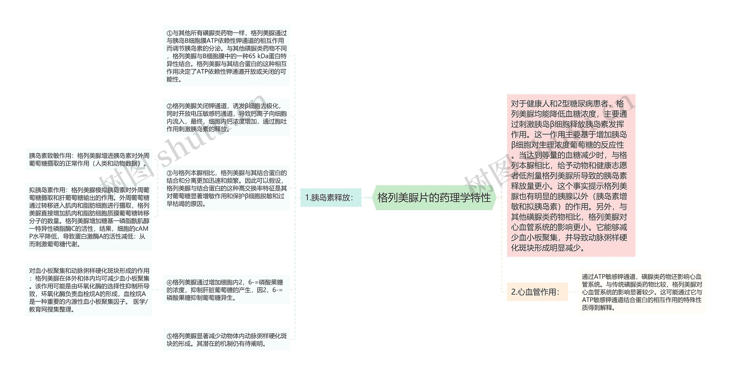 格列美脲片的药理学特性思维导图