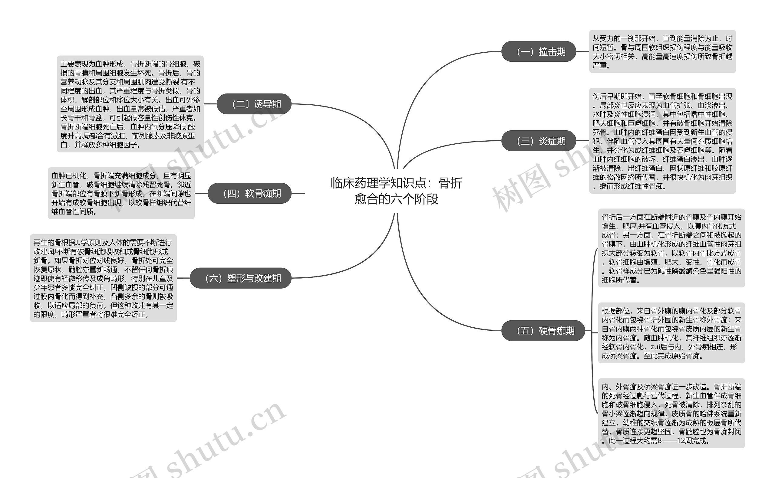 临床药理学知识点：骨折愈合的六个阶段思维导图