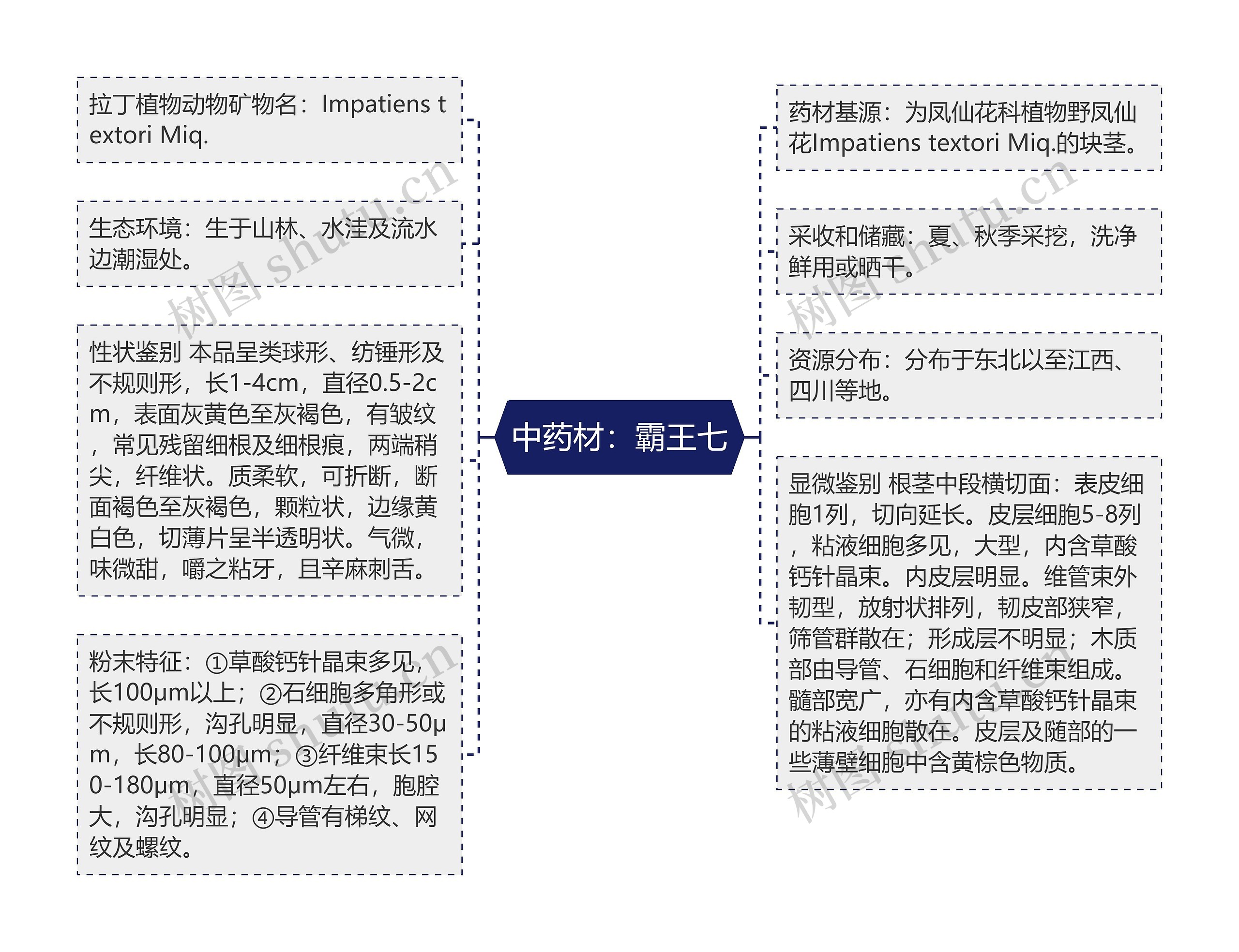 中药材：霸王七思维导图