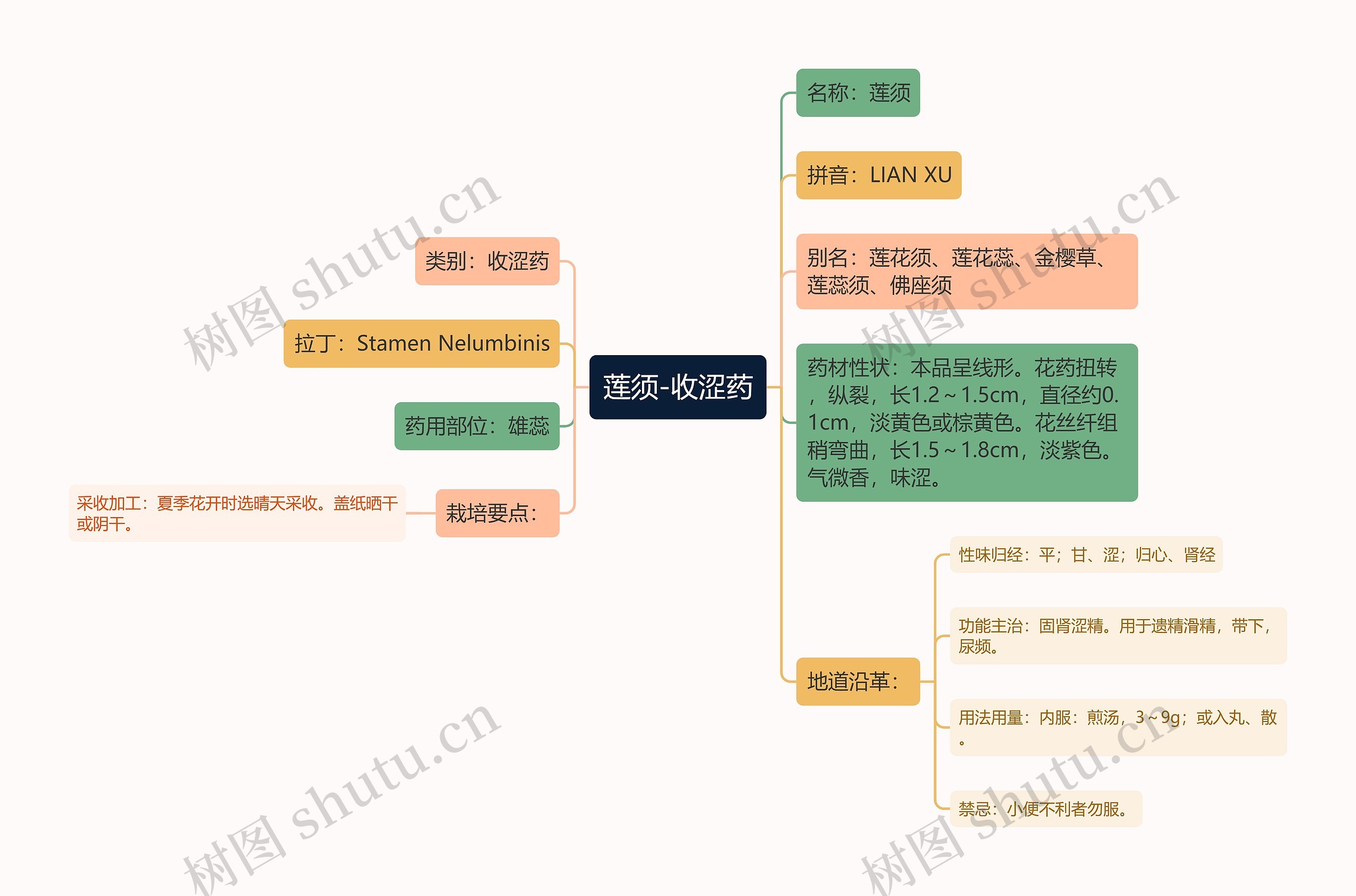 莲须-收涩药思维导图