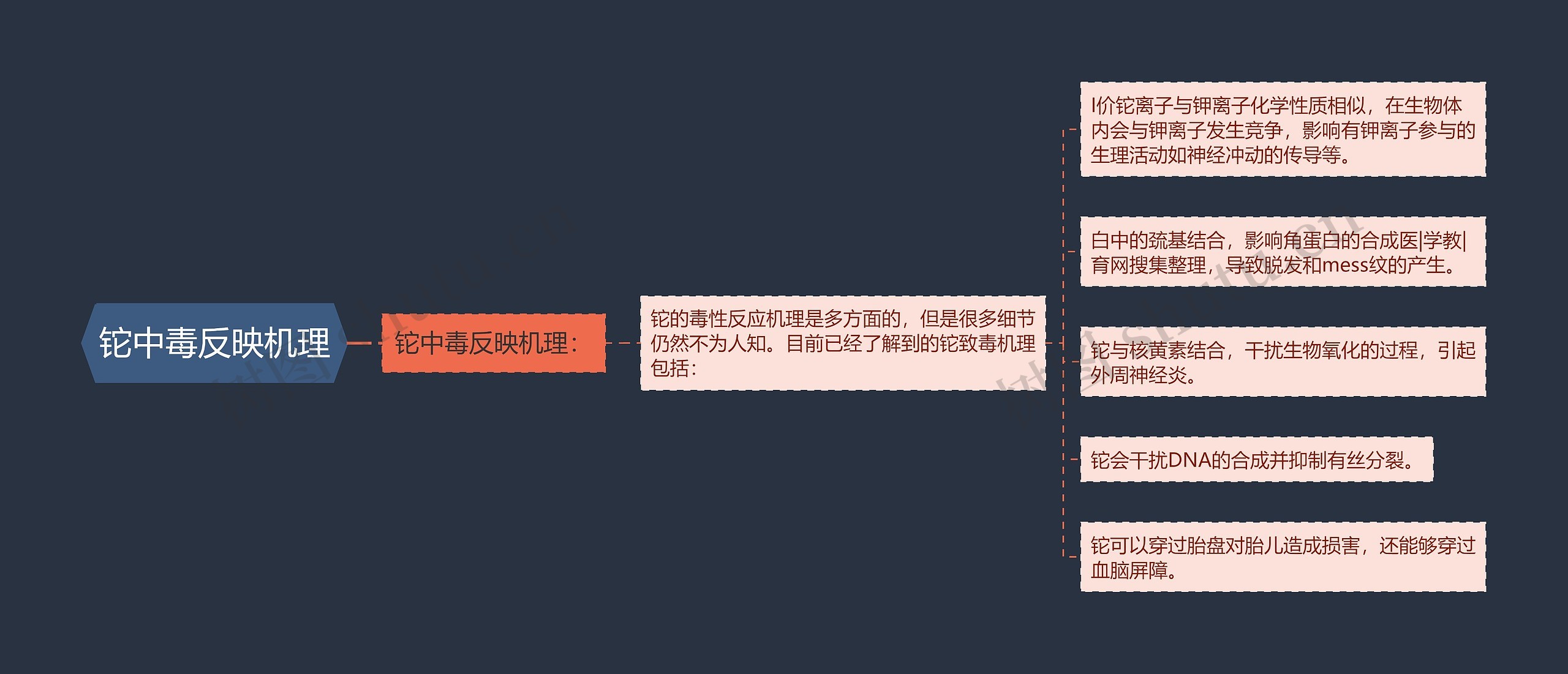 铊中毒反映机理思维导图