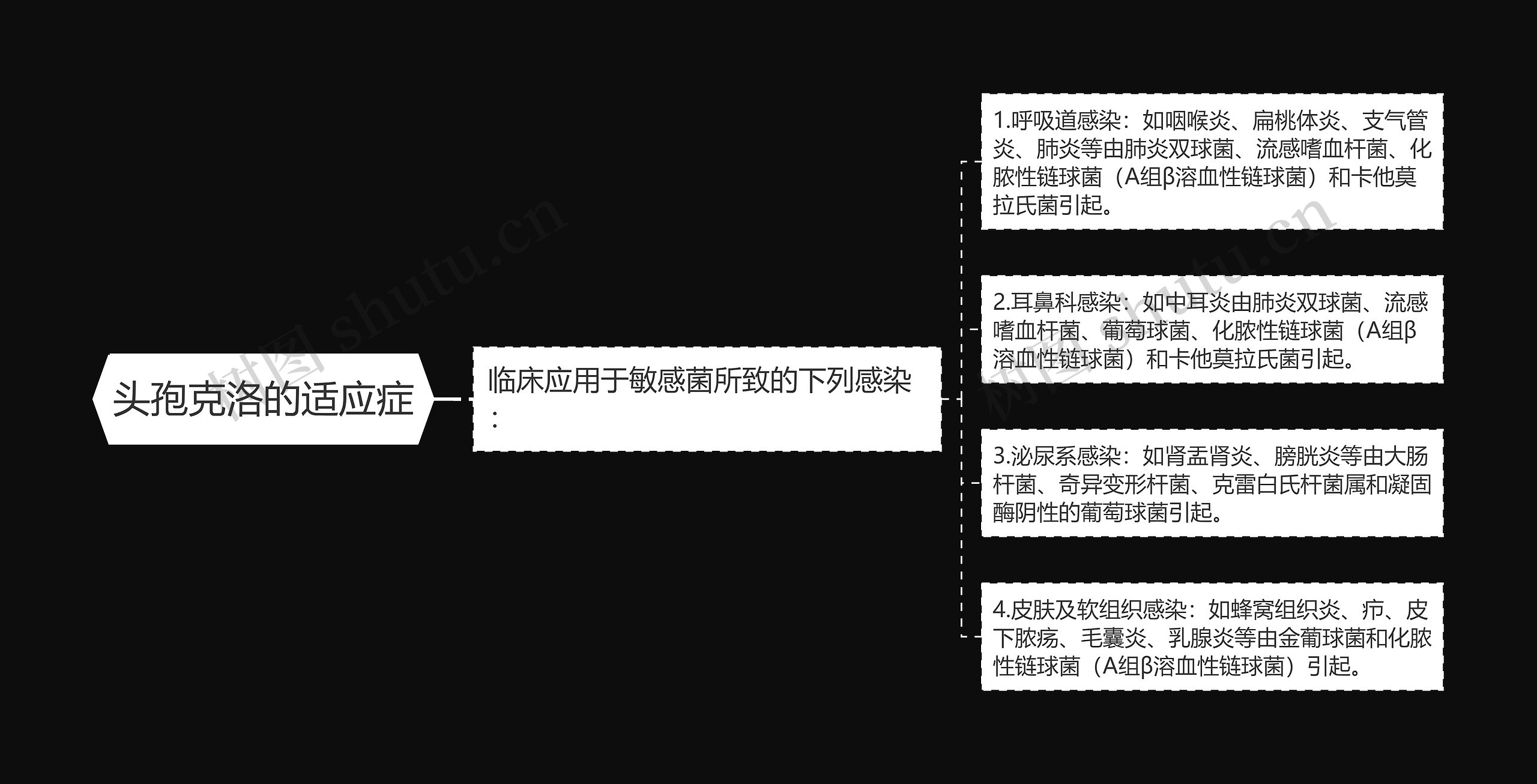 头孢克洛的适应症思维导图