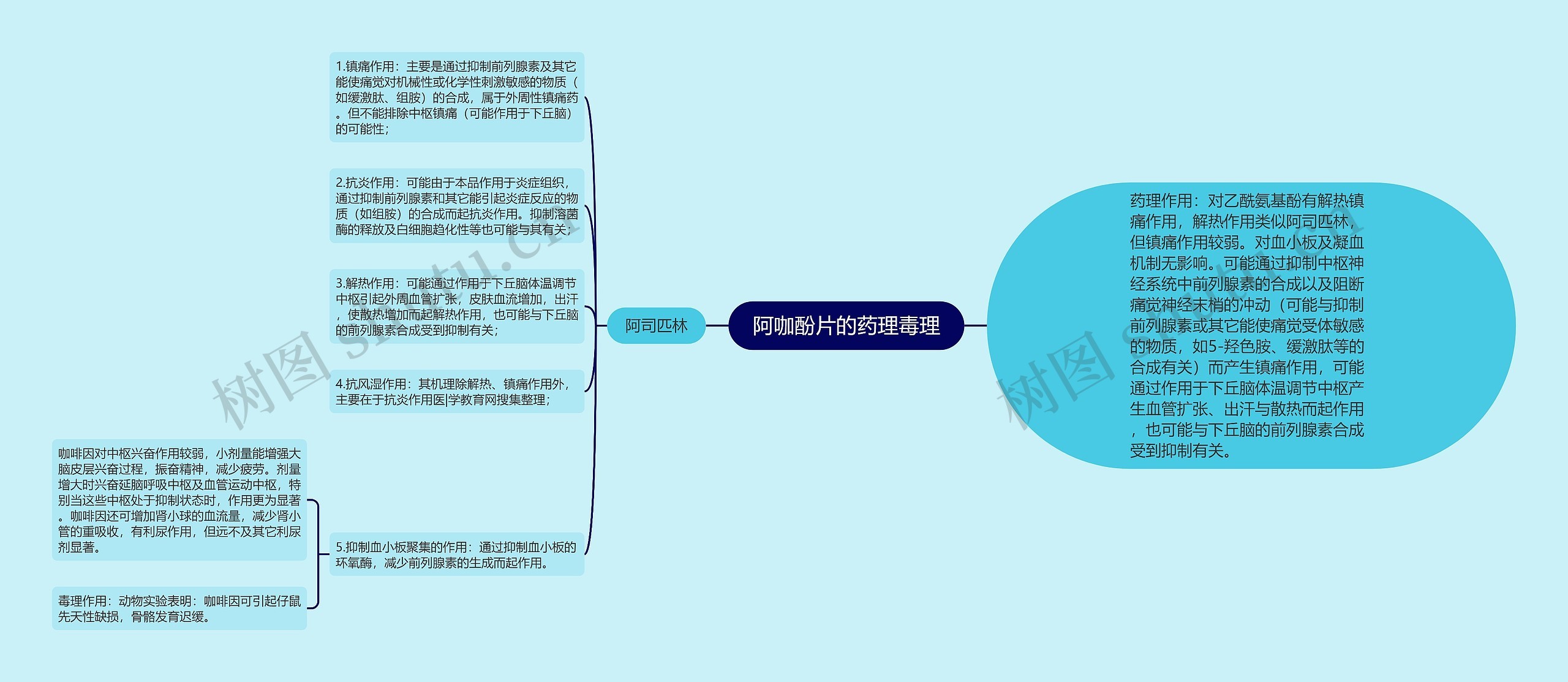 阿咖酚片的药理毒理思维导图