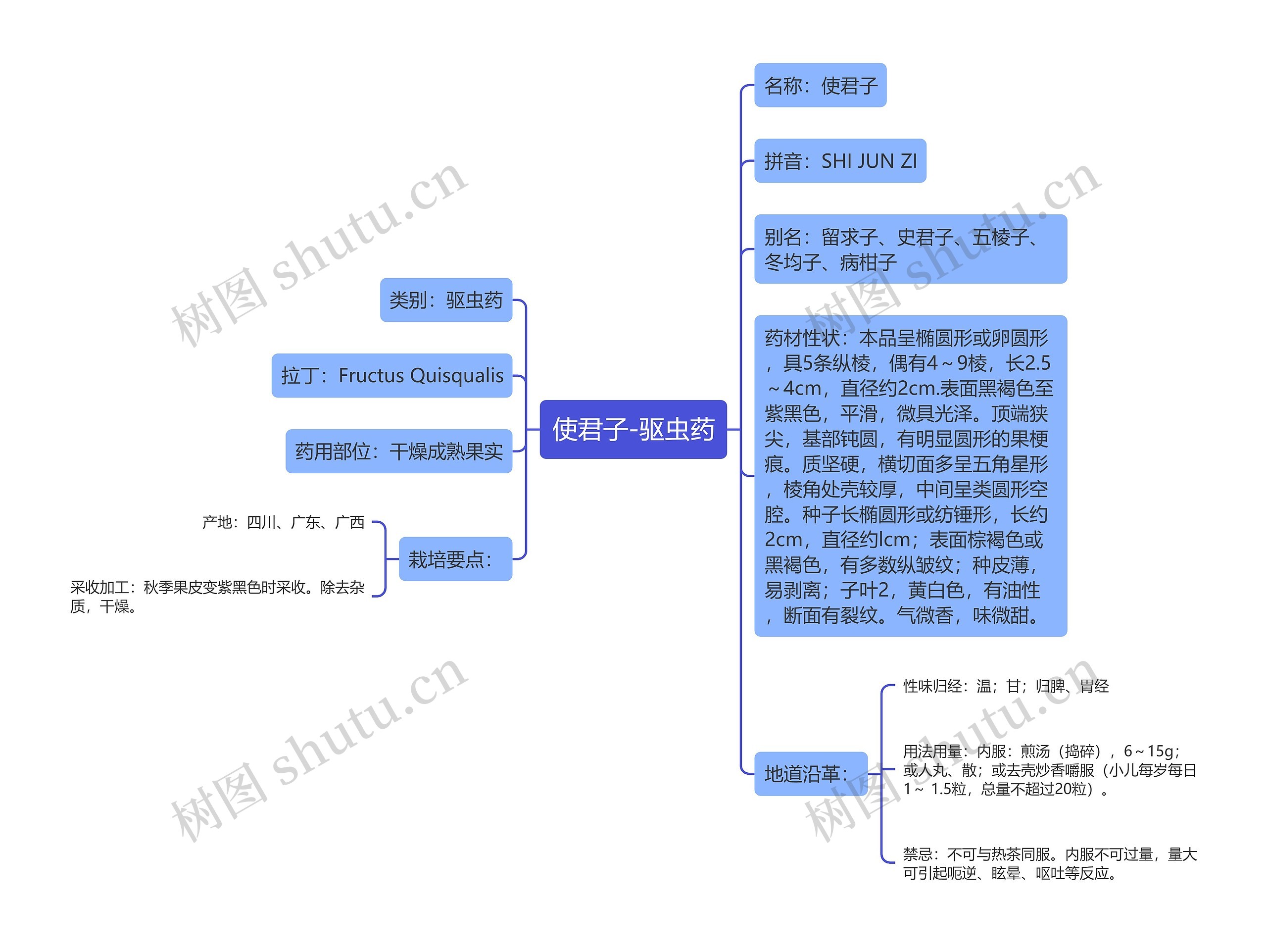 使君子-驱虫药 使君子-驱虫药