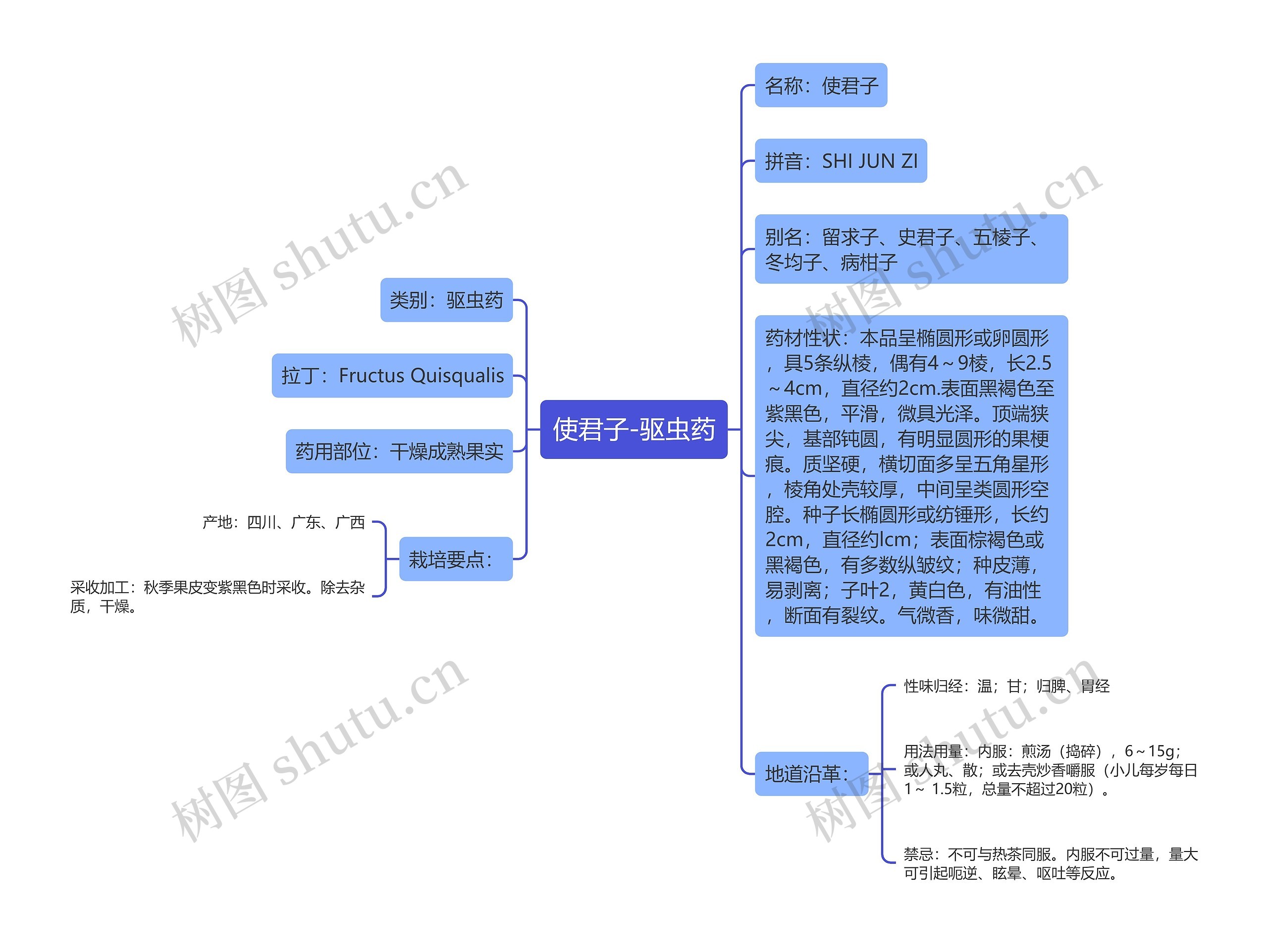 使君子-驱虫药思维导图