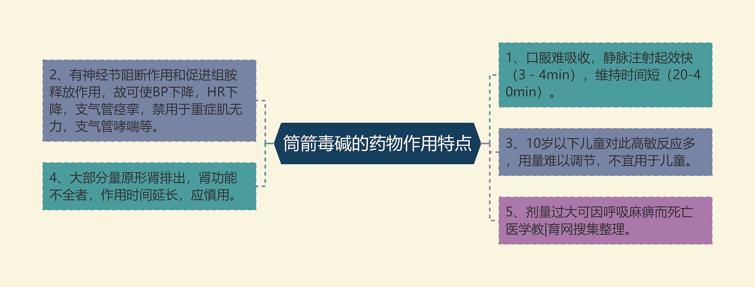 筒箭毒碱的药物作用特点思维导图