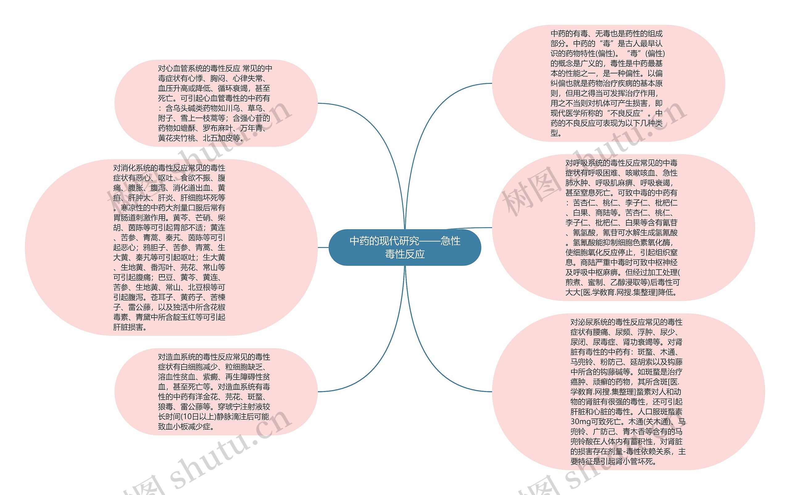 中药的现代研究——急性毒性反应思维导图