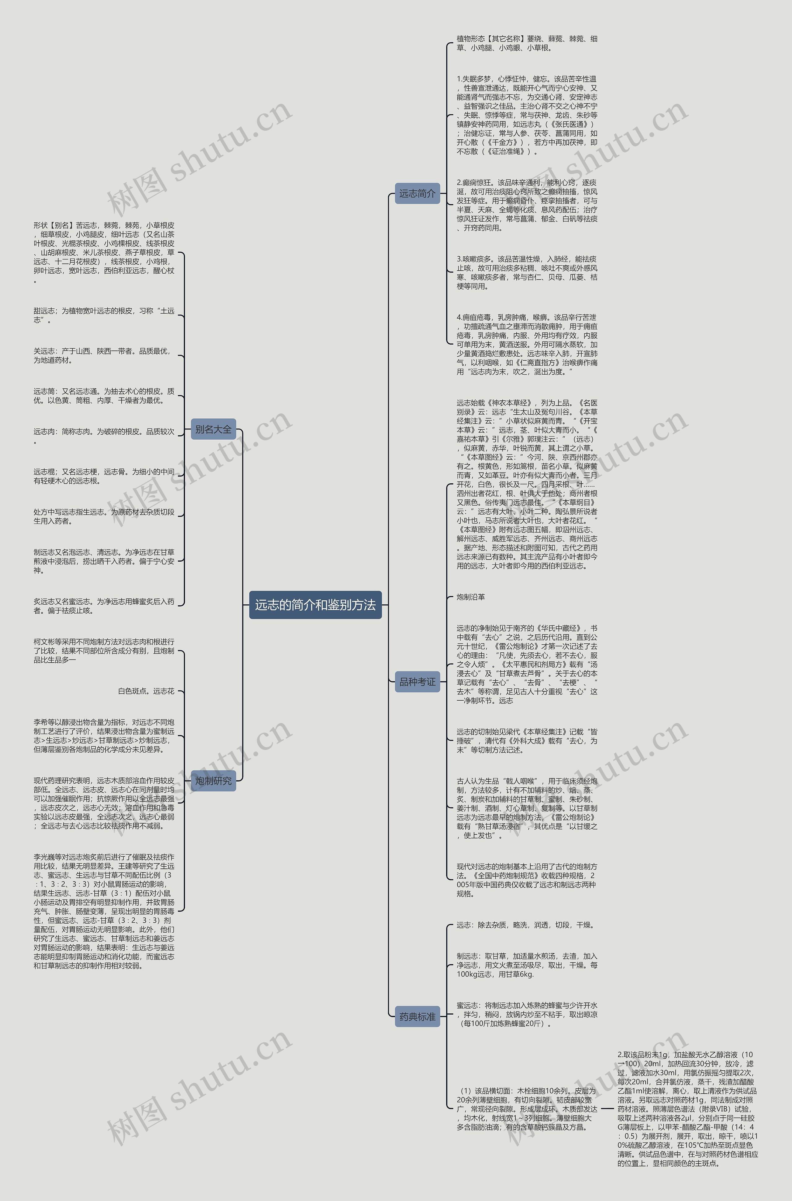远志的简介和鉴别方法思维导图