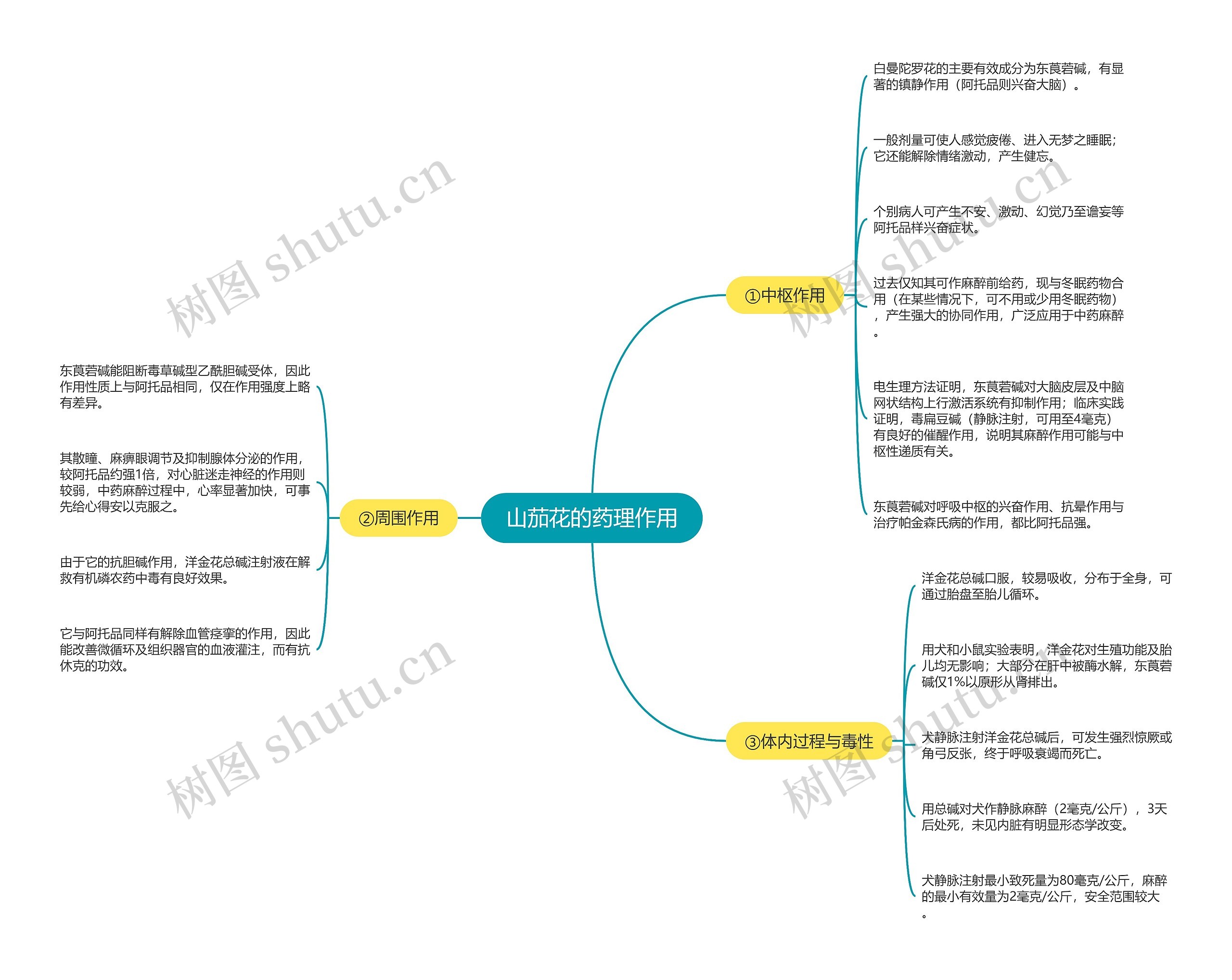山茄花的药理作用思维导图