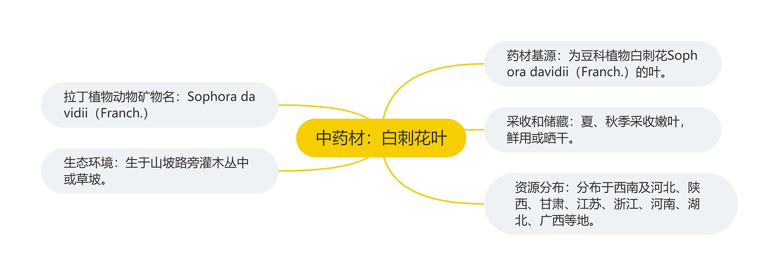 中药材：白刺花叶思维导图