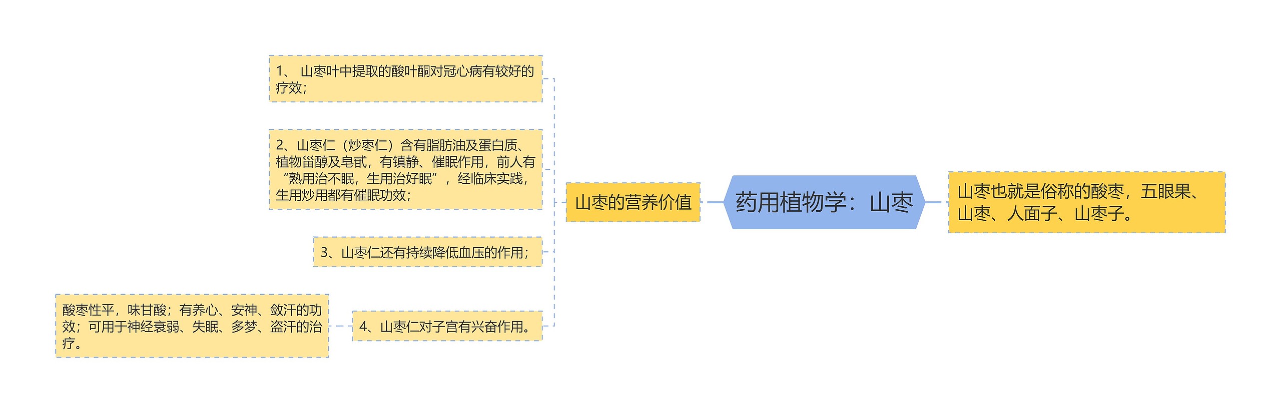 药用植物学：山枣思维导图