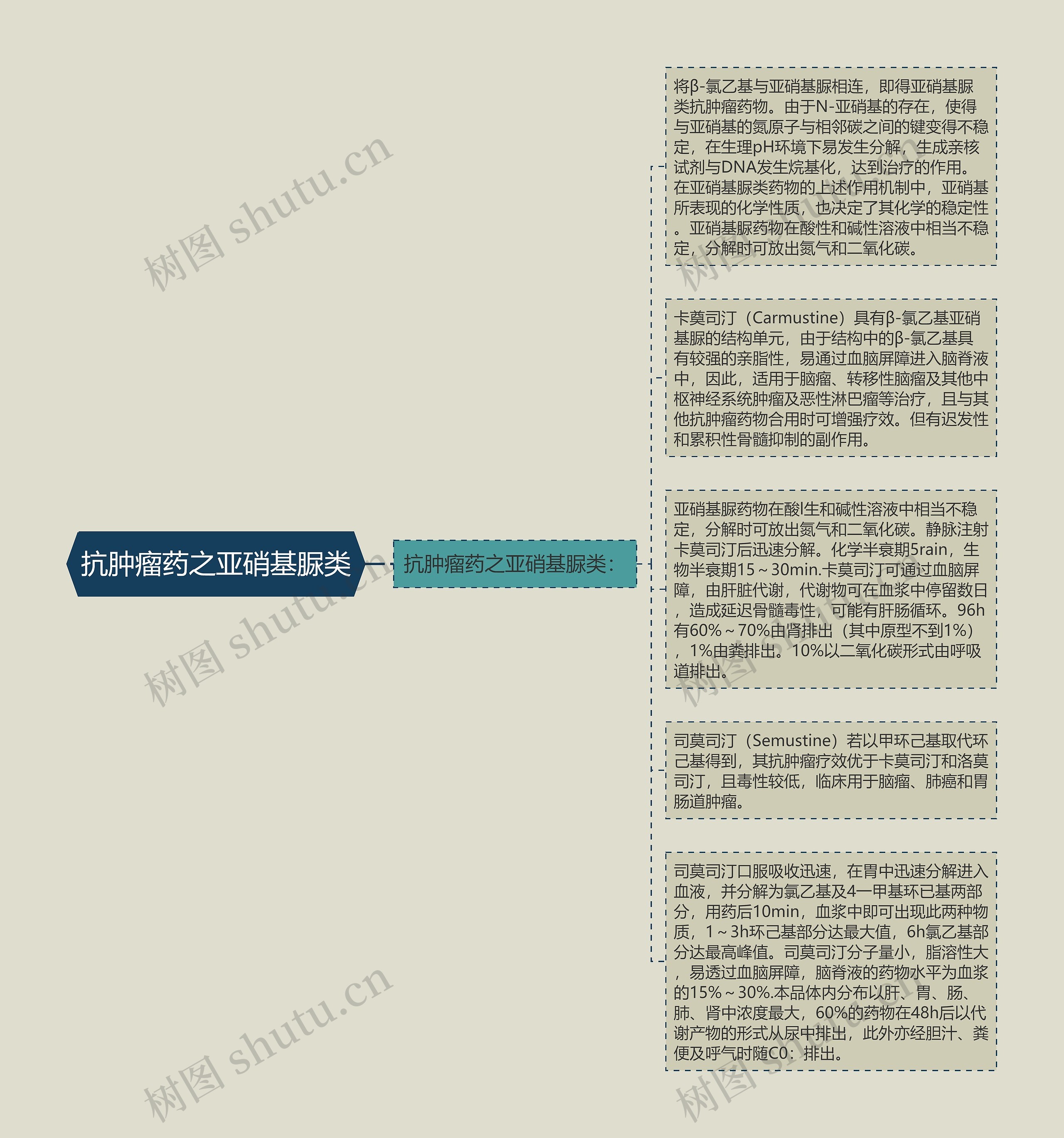 抗肿瘤药之亚硝基脲类