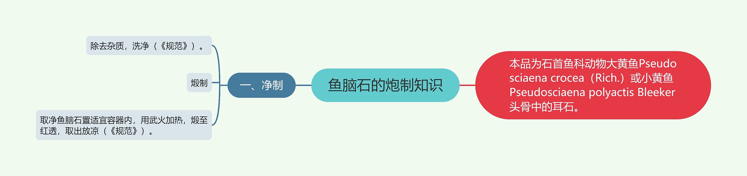 鱼脑石的炮制知识
