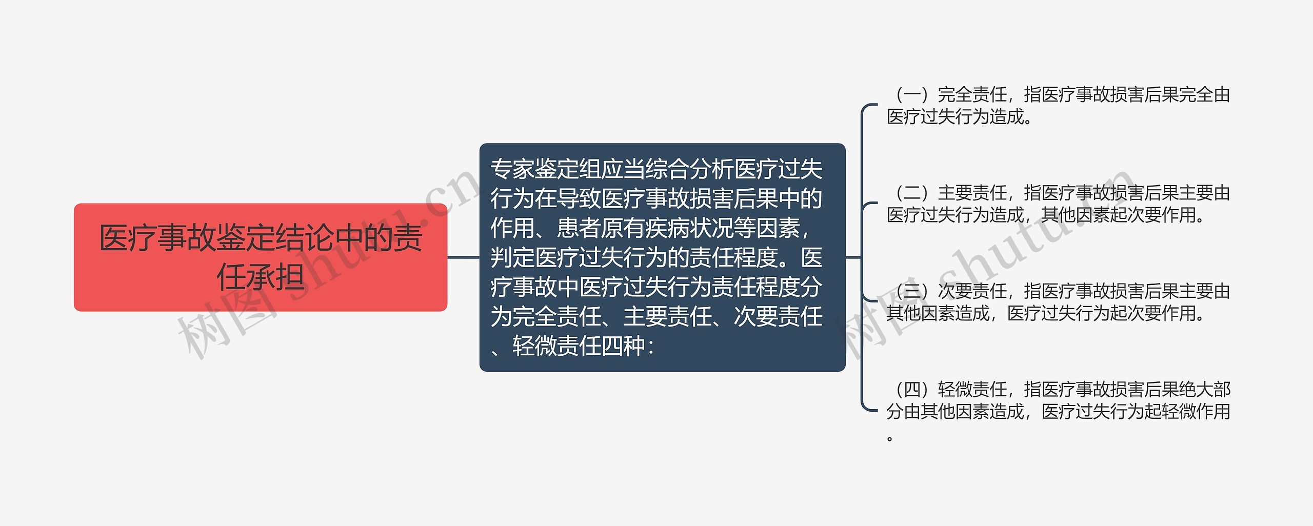 医疗事故鉴定结论中的责任承担思维导图