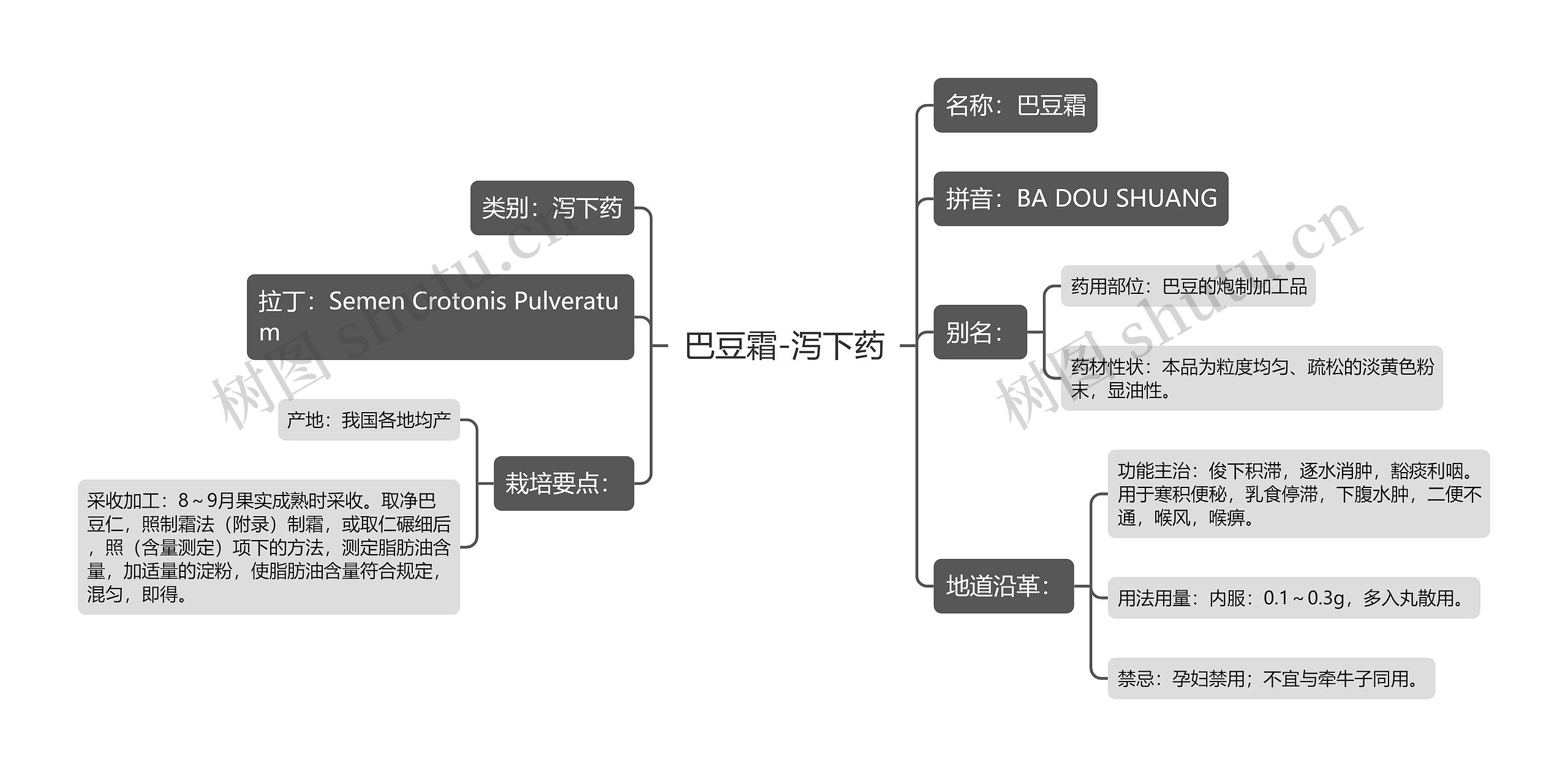 巴豆霜-泻下药思维导图